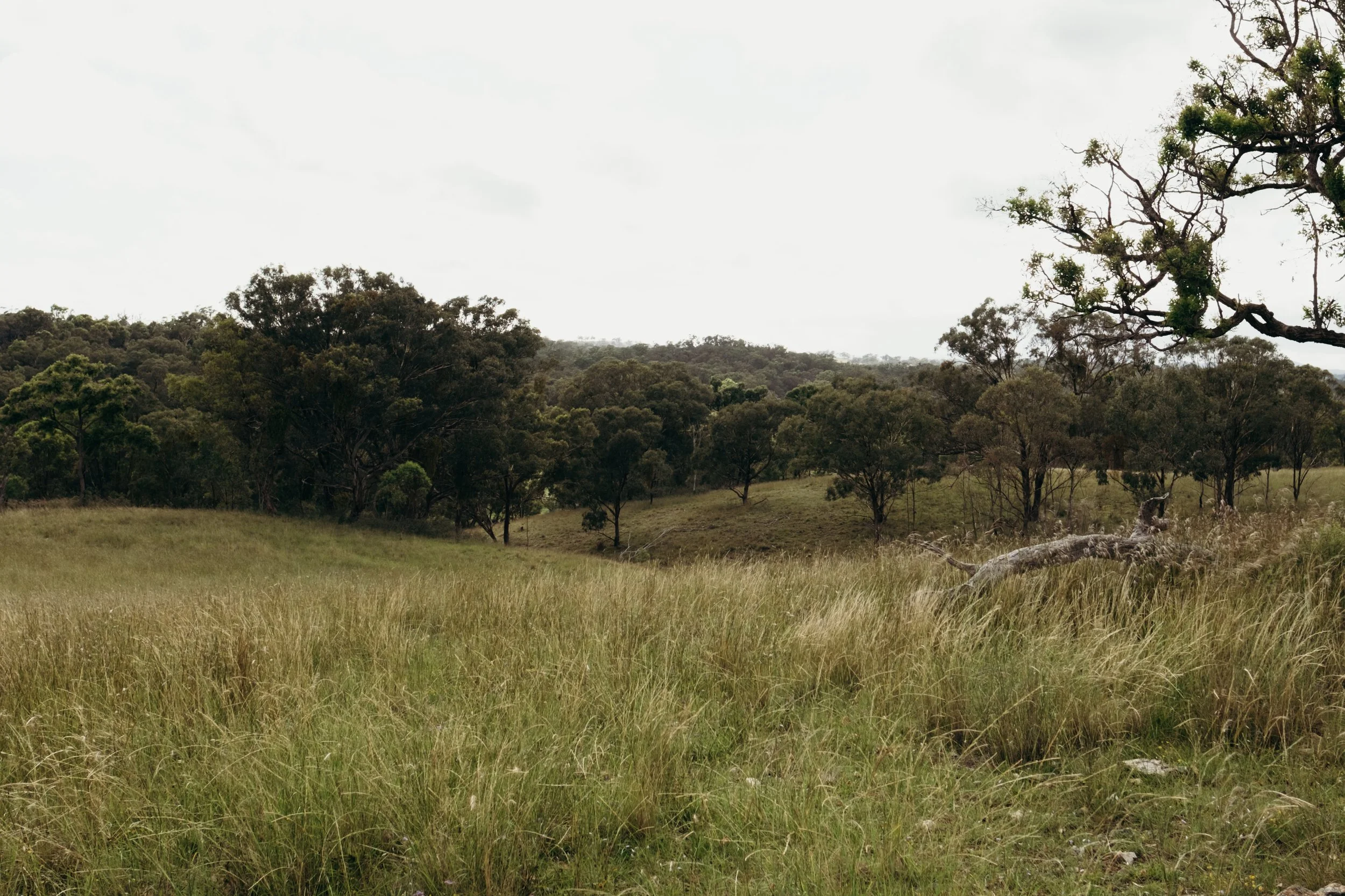 Alum Rock Hideaway Final Gallery (90 of 120).jpg