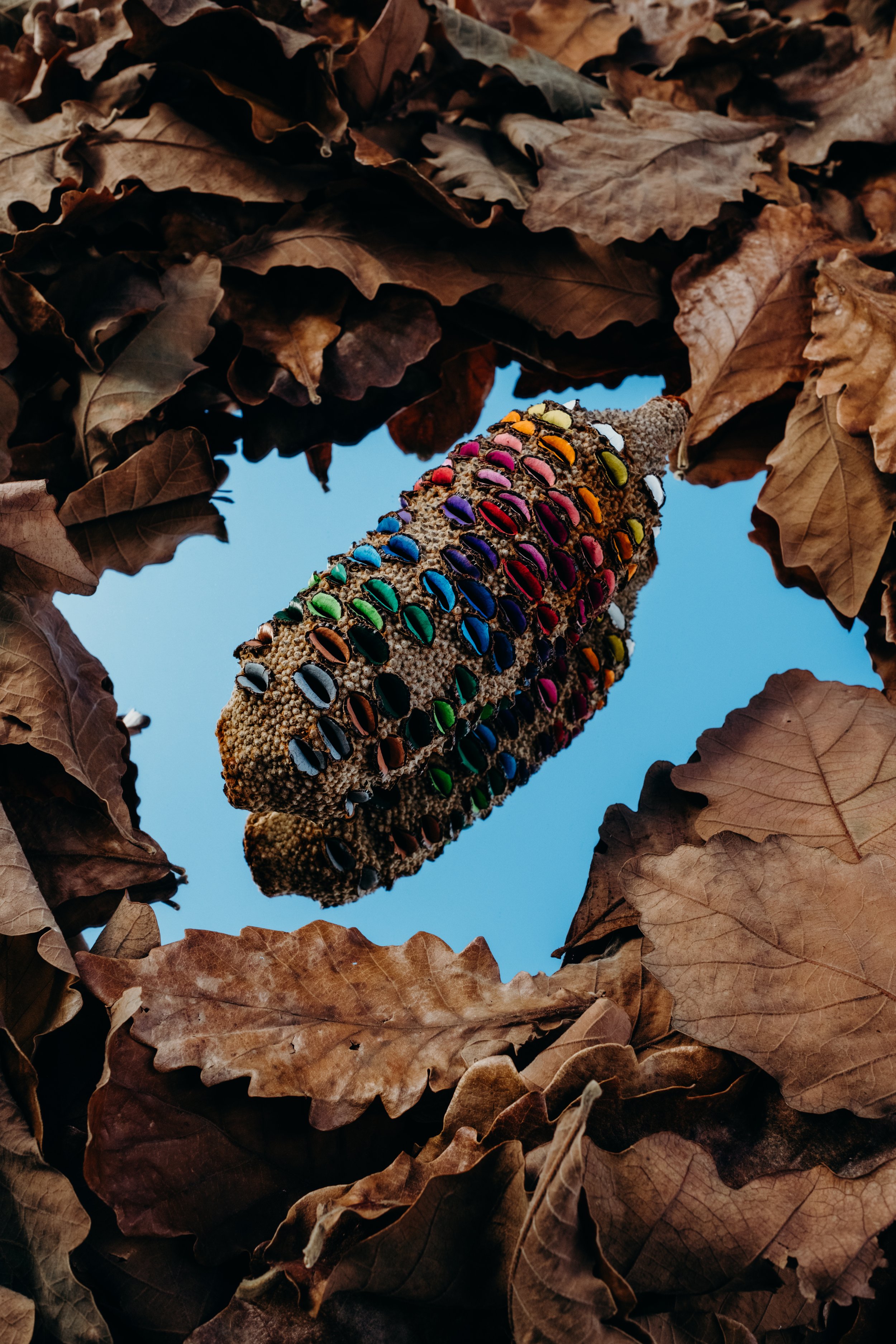 Hello Chelsart 16-06 Final Gallery-2.jpg