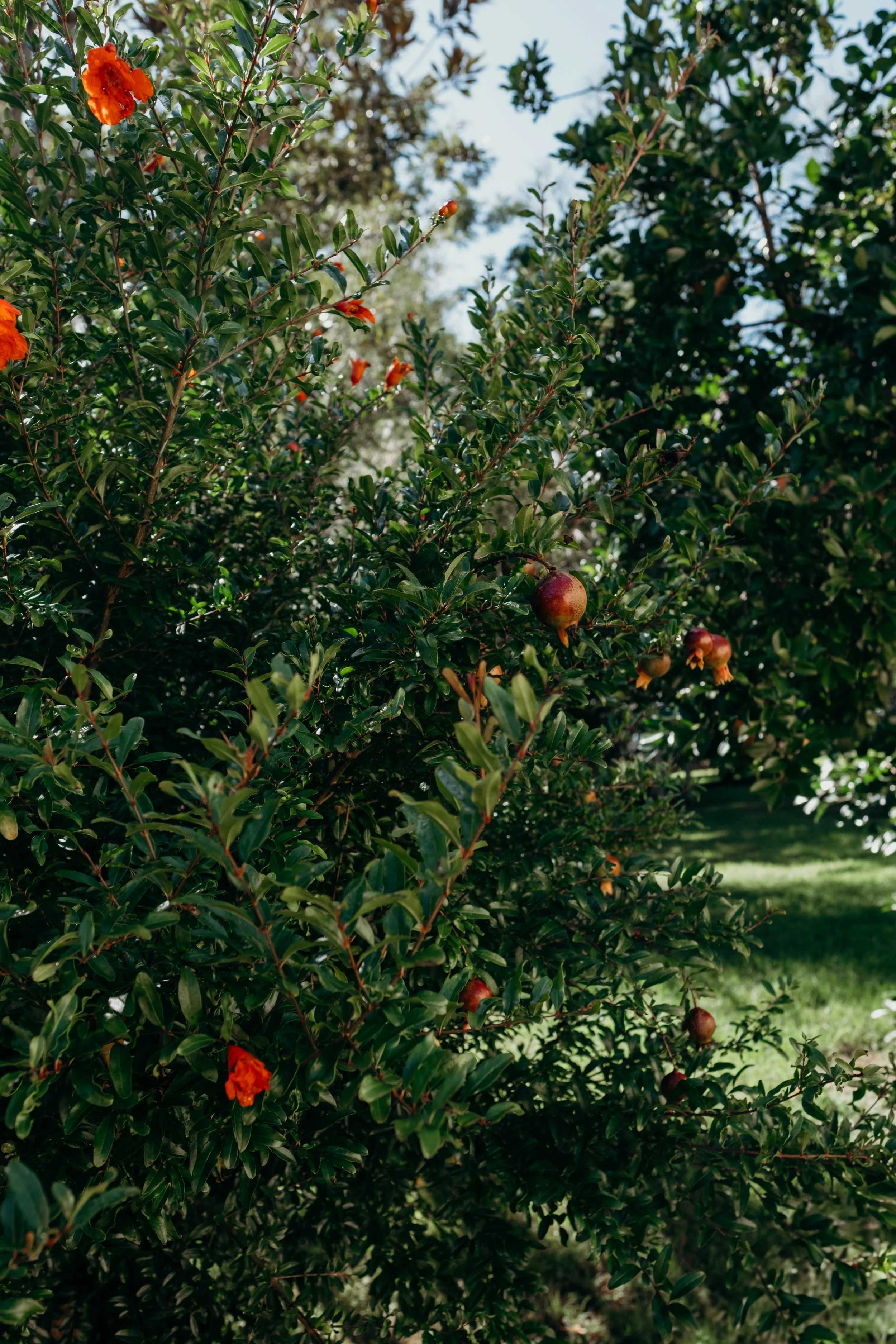 Pechey Distilling Co Autumn 2025 (3 of 40).jpg