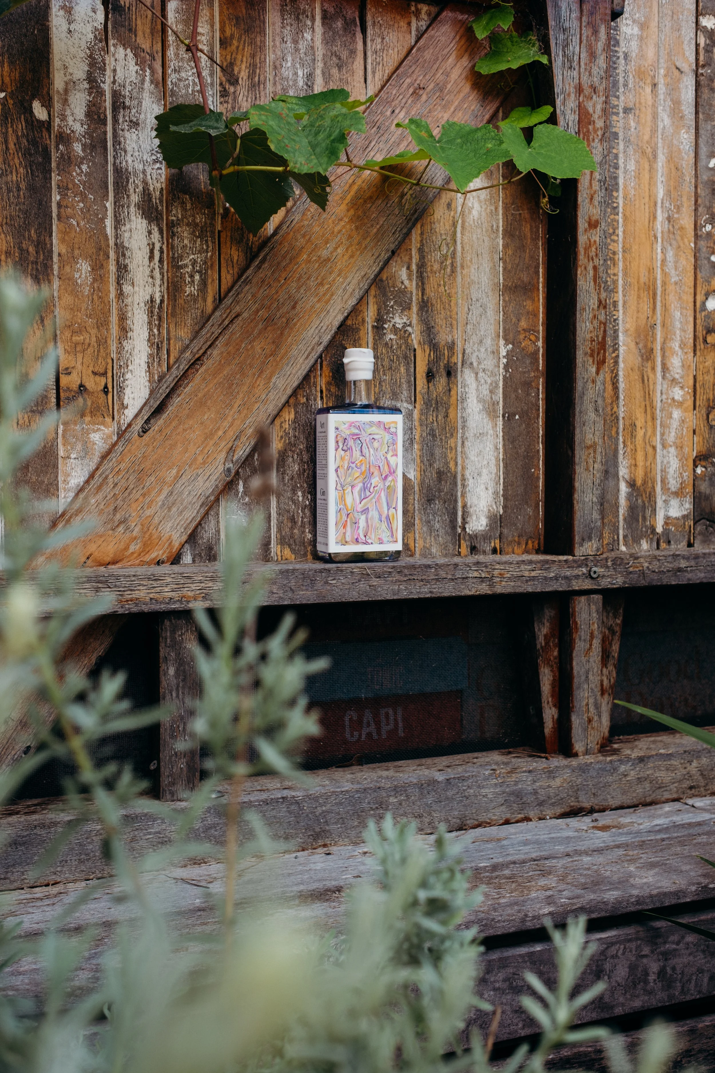 Pechey Distilling Co Autumn 2025 (29 of 40).jpg