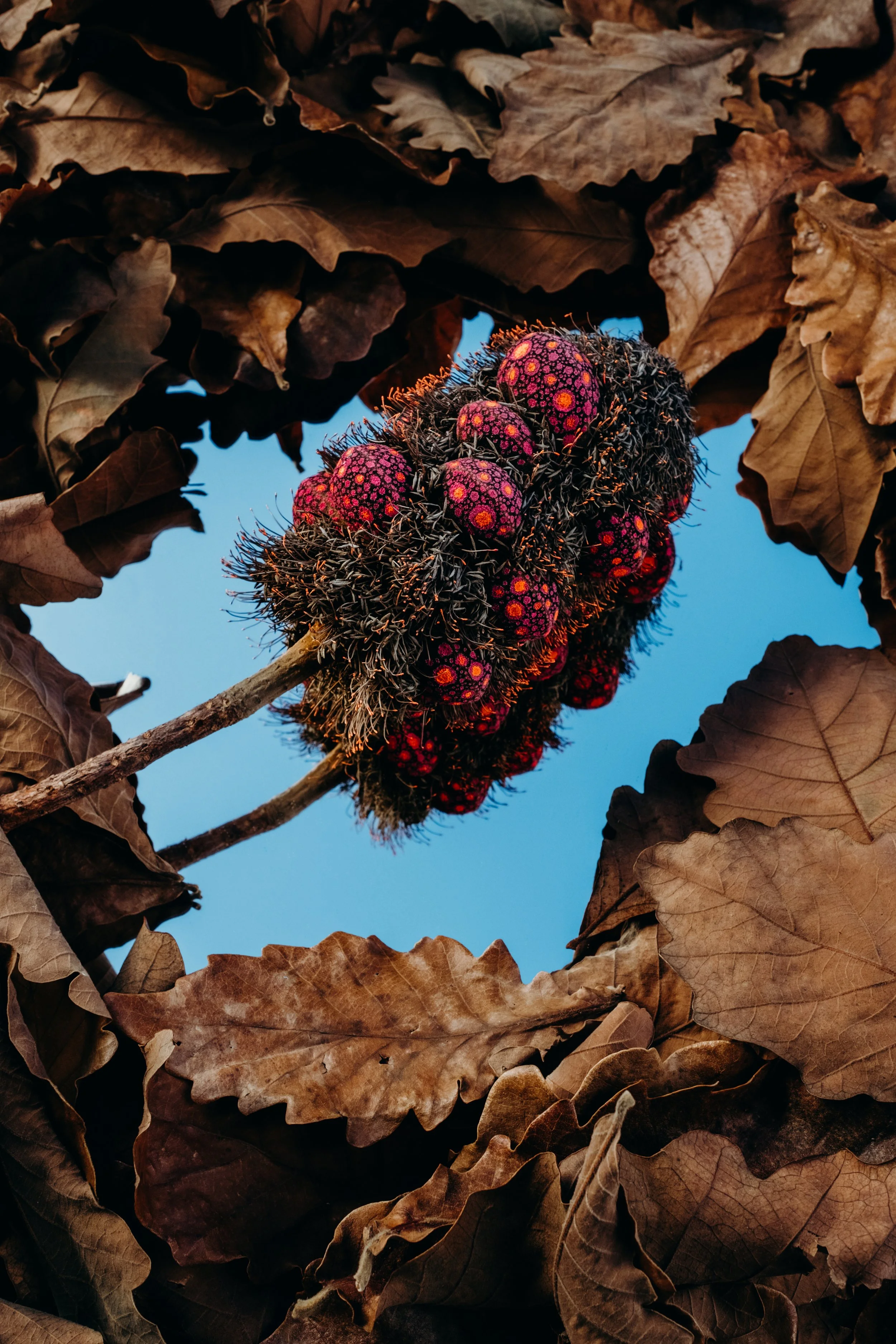 Hello Chelsart 16-06 Final Gallery.jpg