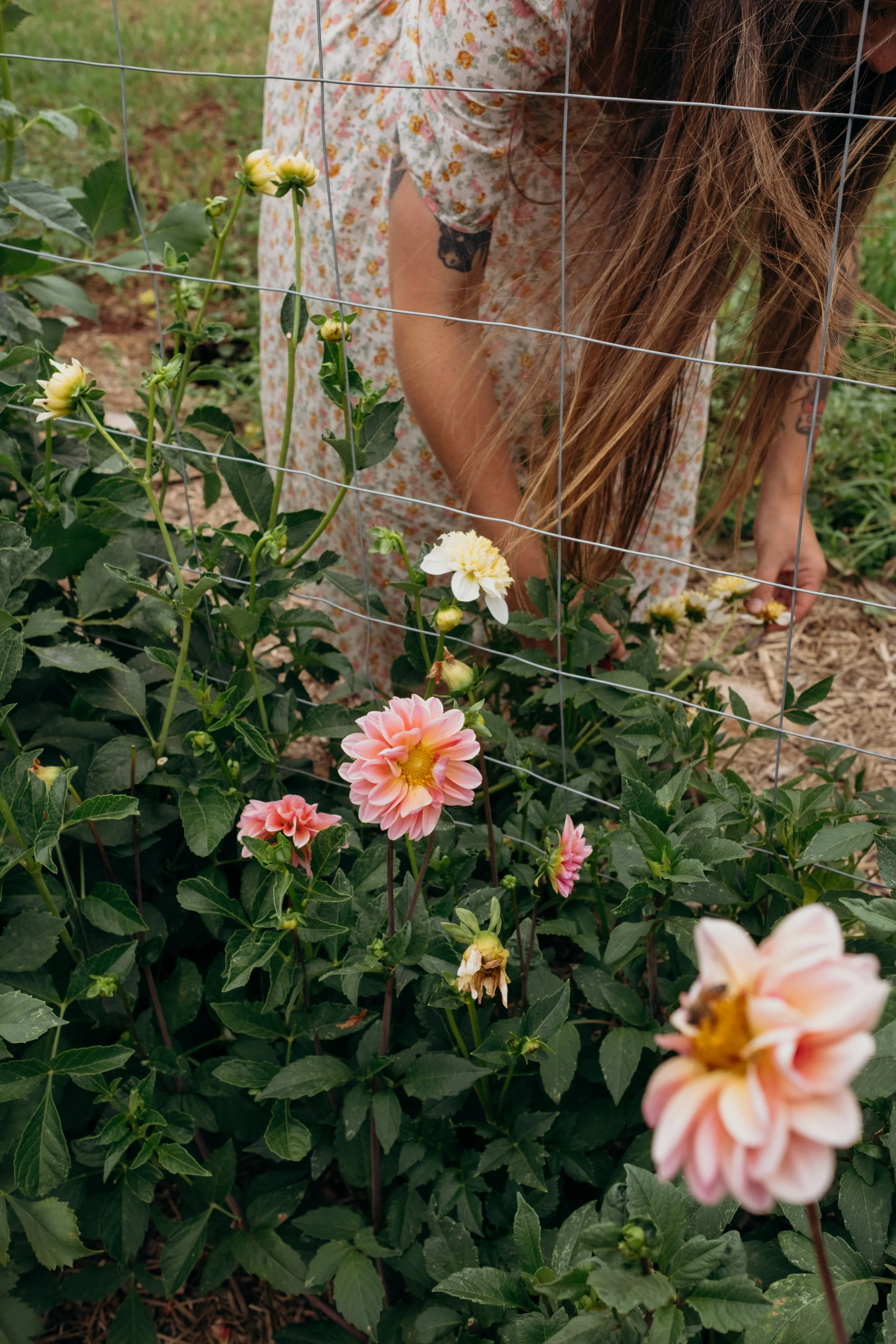 Katie-Jane Hannah - Bluebell Hollow (44 of 70).jpg