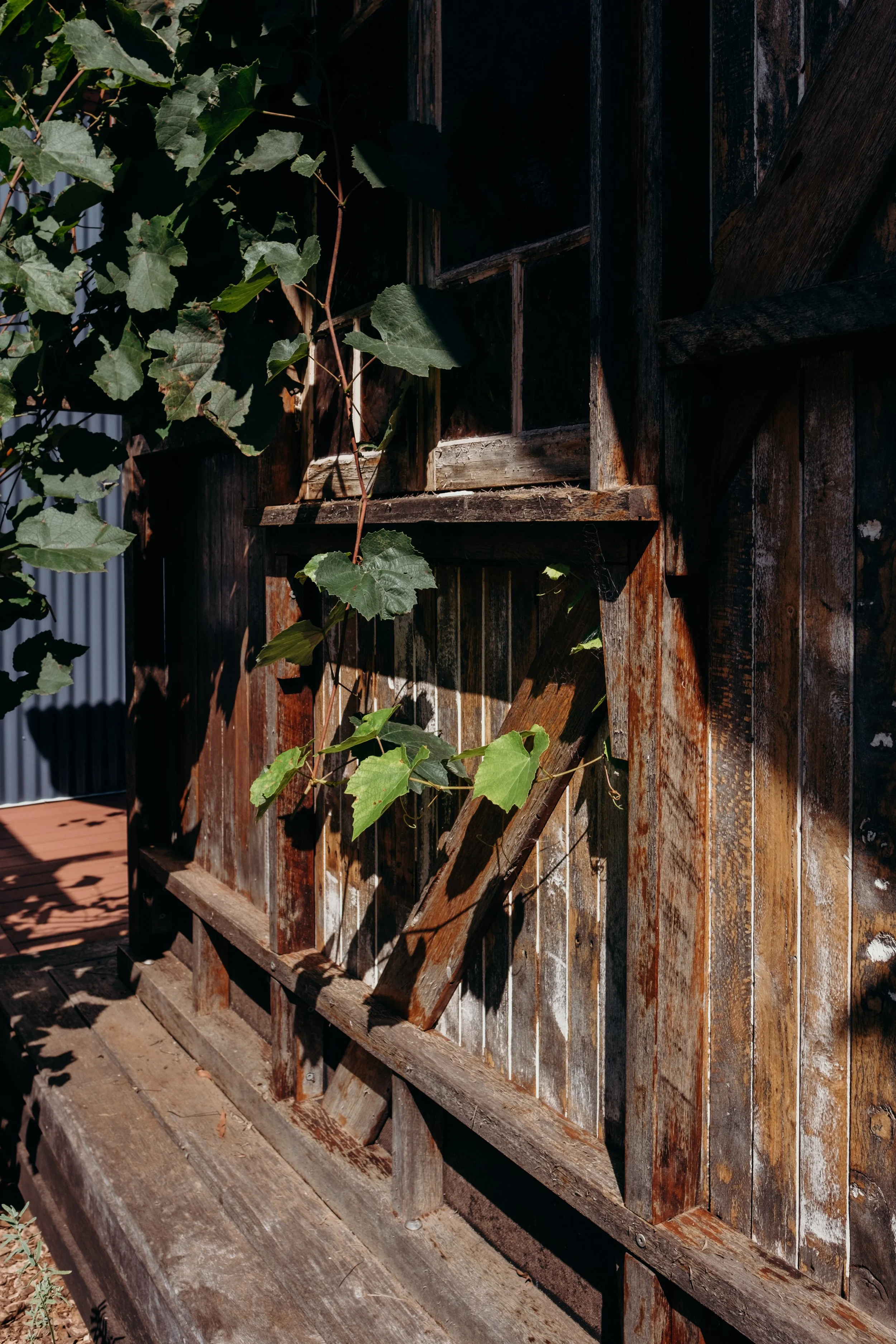 Pechey Distilling Co Autumn 2025 (2 of 40).jpg