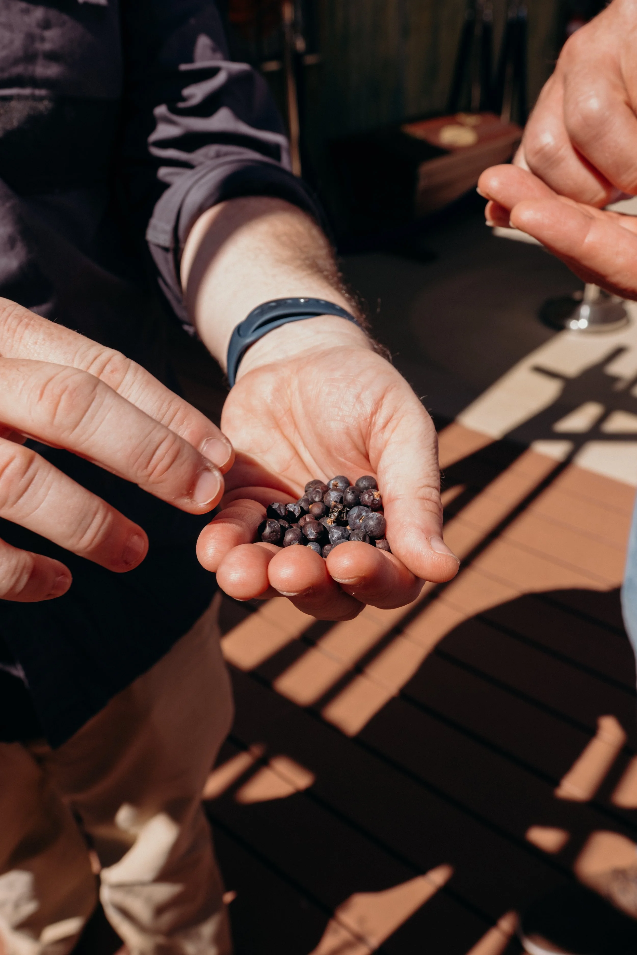 Pechey Distilling Co Autumn 2025 (17 of 40).jpg