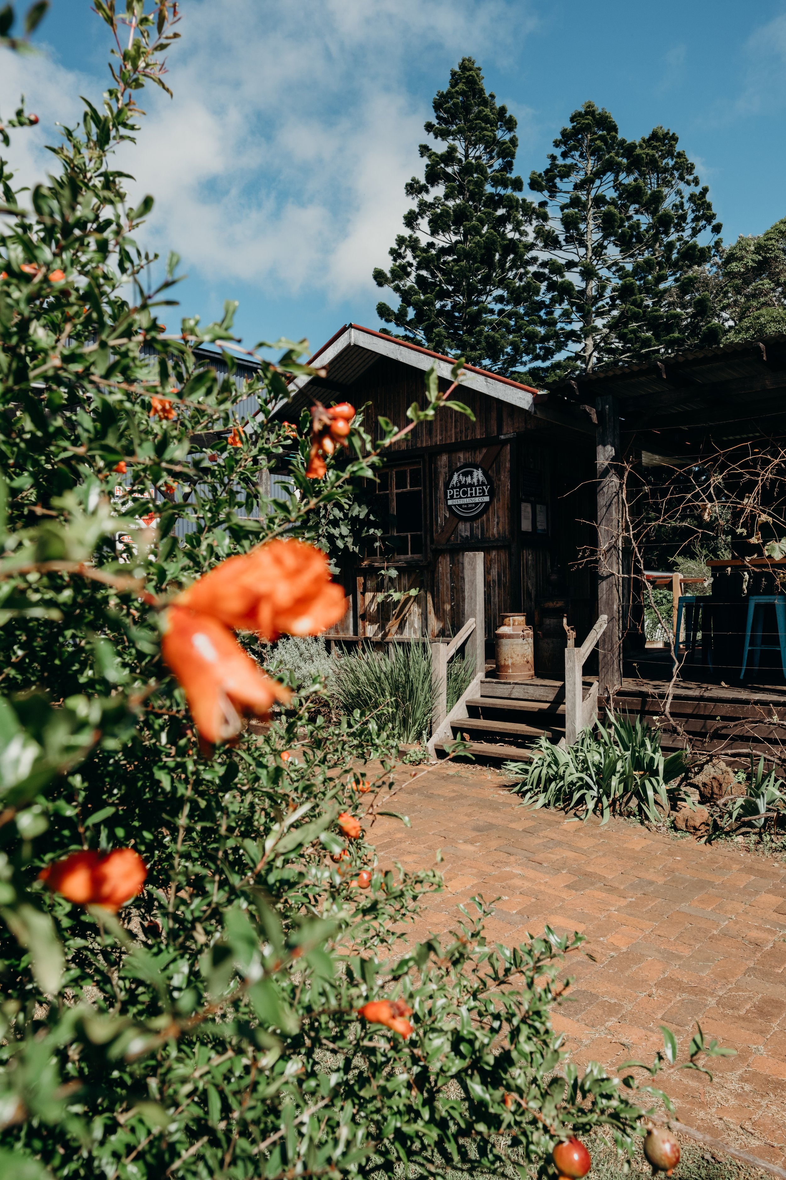 Pechey Distilling Co Autumn 2025 (5 of 40).jpg