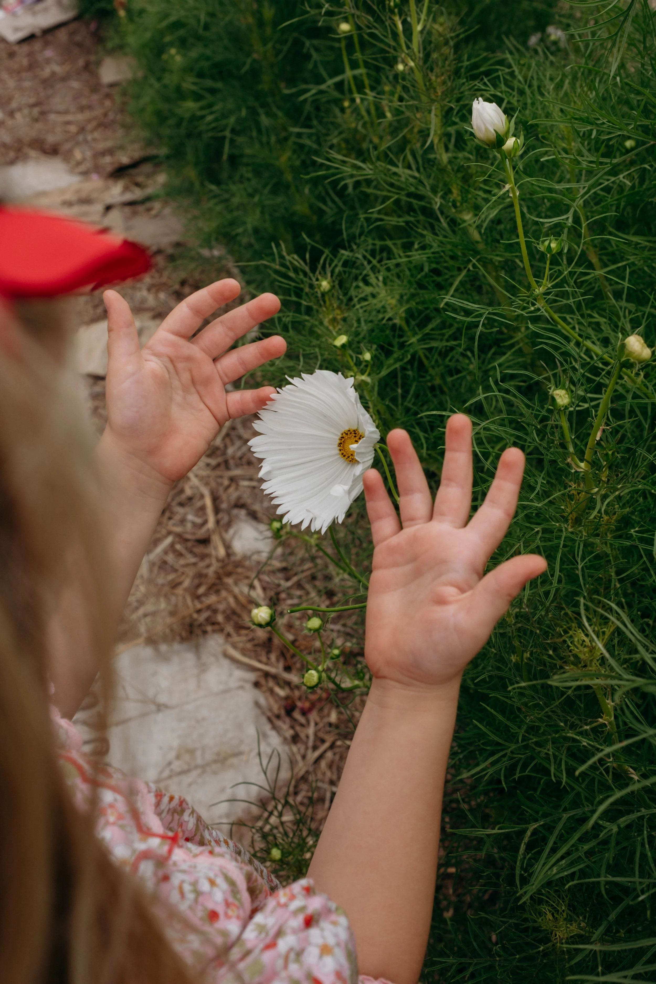 Katie-Jane Hannah - Bluebell Hollow (16 of 70).jpg