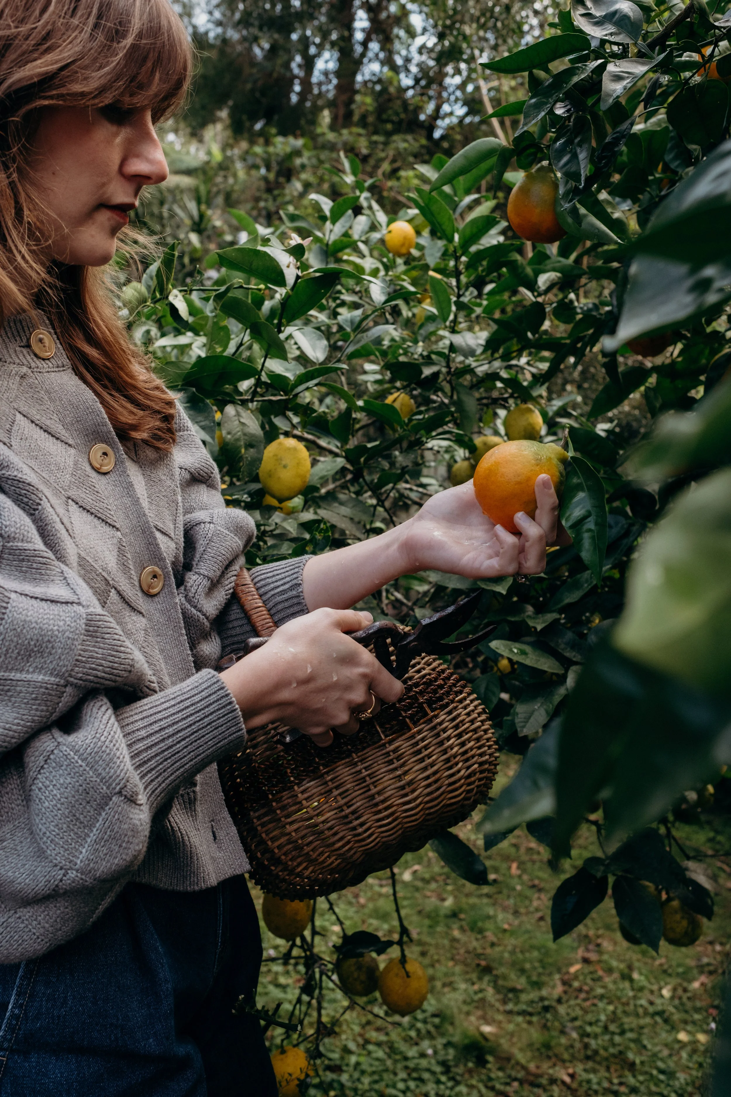 MJ x HP Web Res (4 of 69).jpg