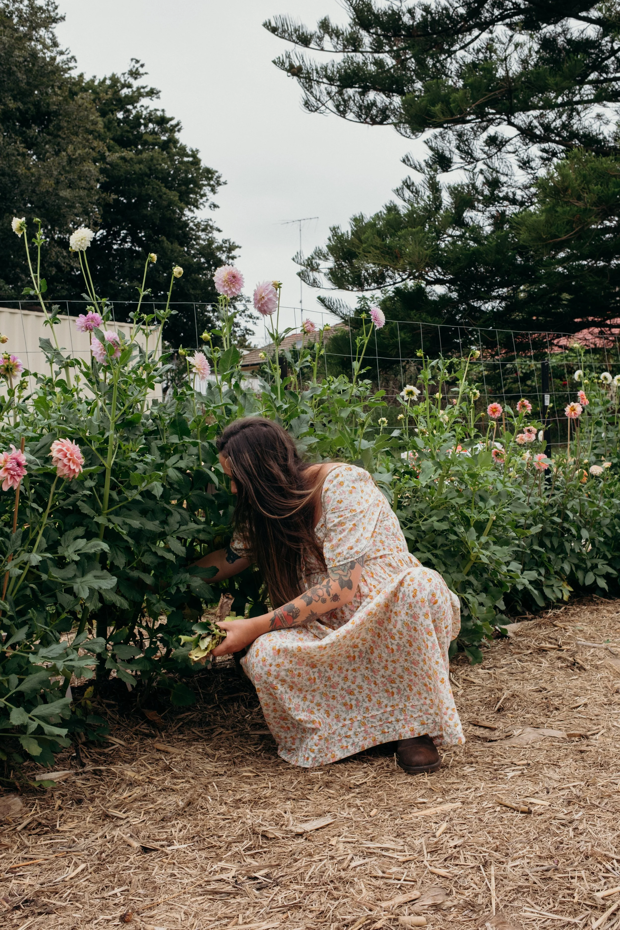 Katie-Jane Hannah - Bluebell Hollow (26 of 70).jpg