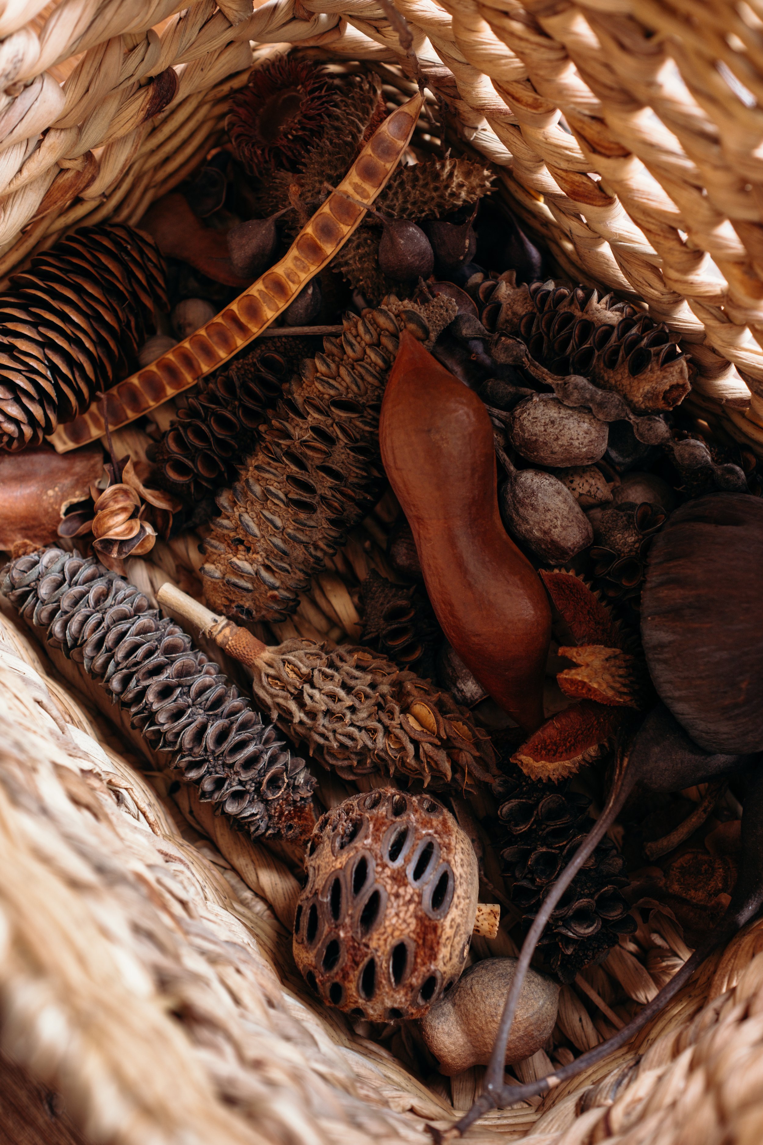 Hello Chelsart Feb Gallery (13 of 20).jpg