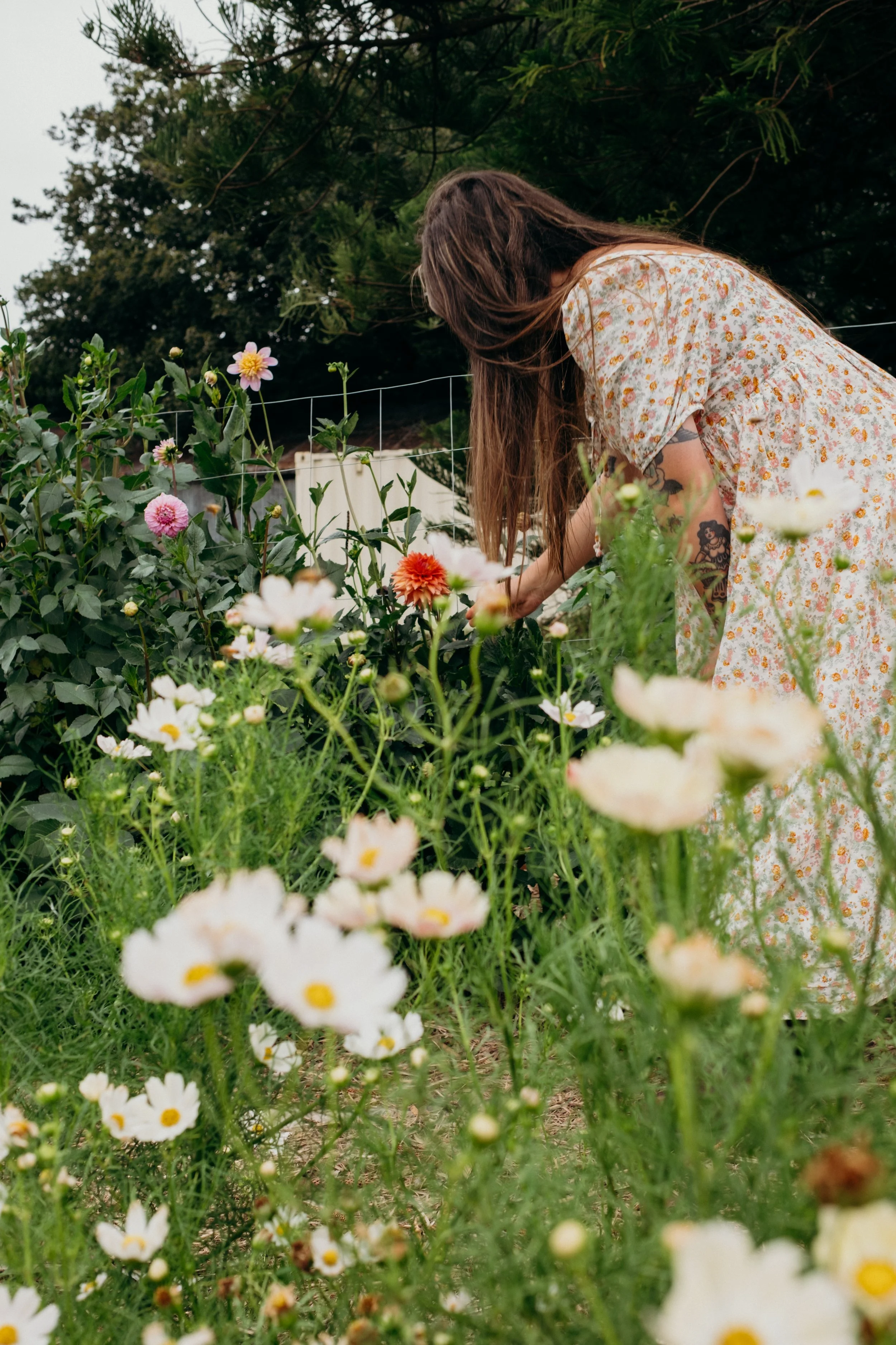 Katie-Jane Hannah - Bluebell Hollow (8 of 70).jpg