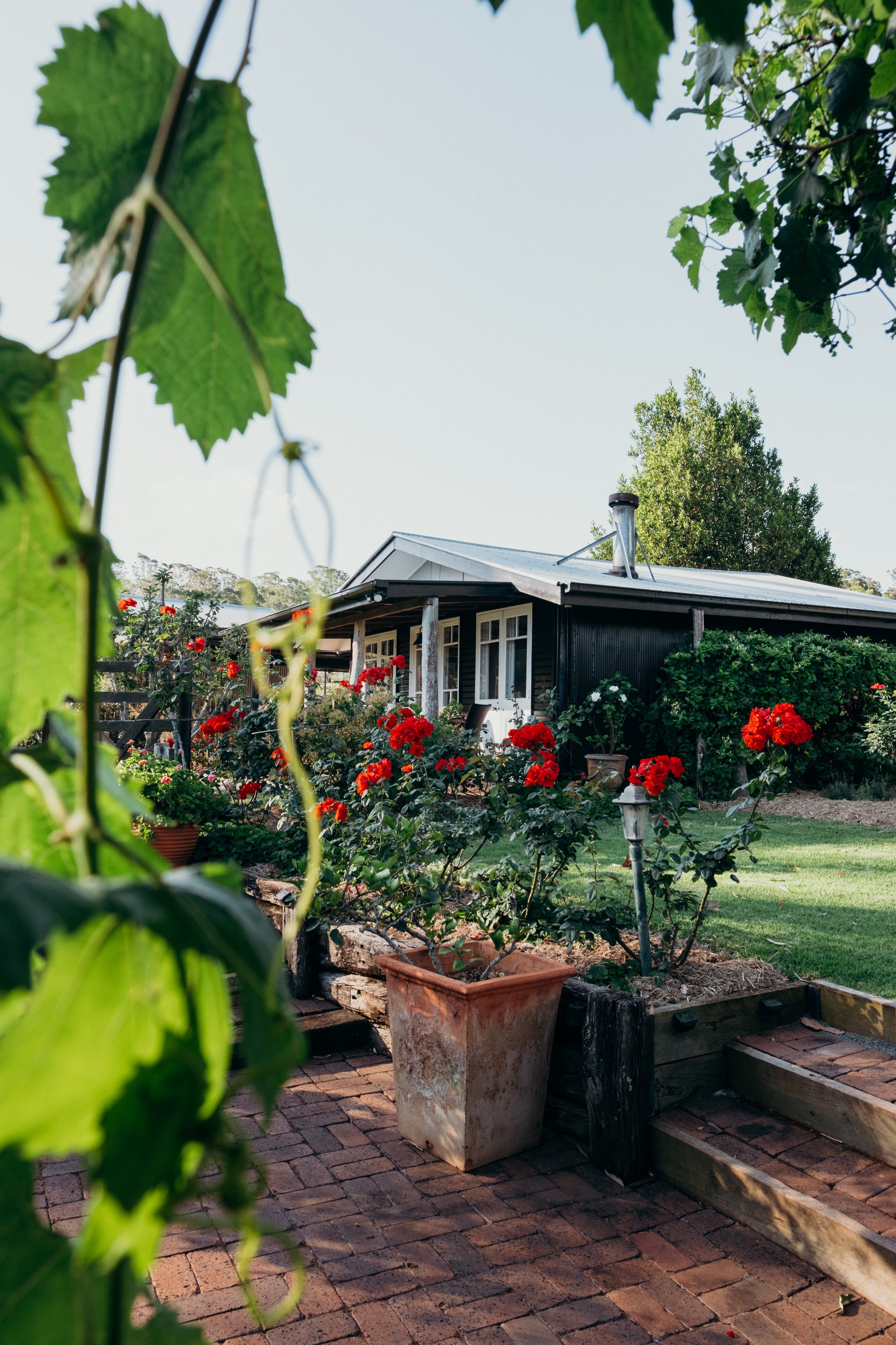 Bunnyconnellen (22 of 49).jpg