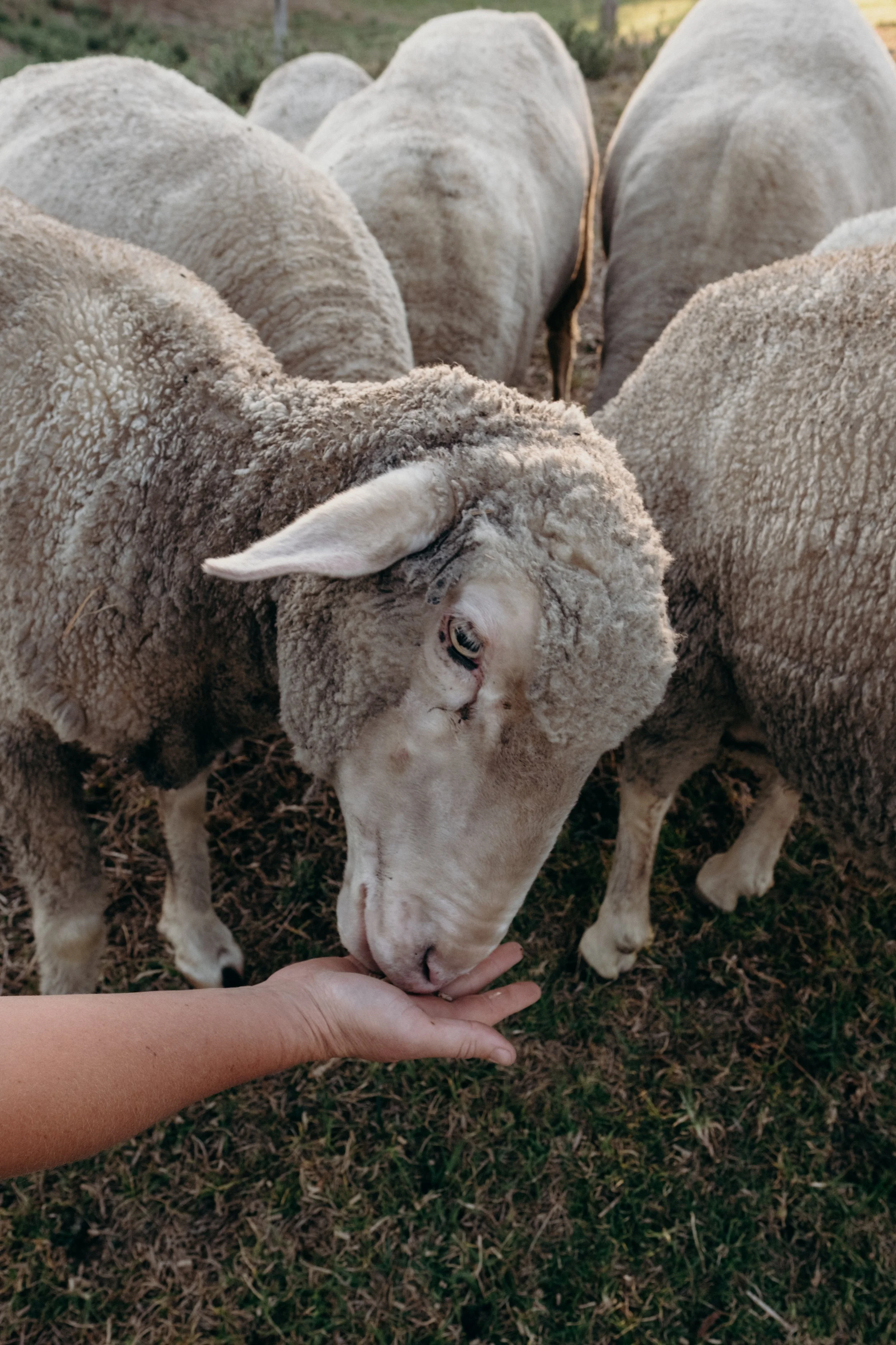 Bunnyconnellen (40 of 49).jpg