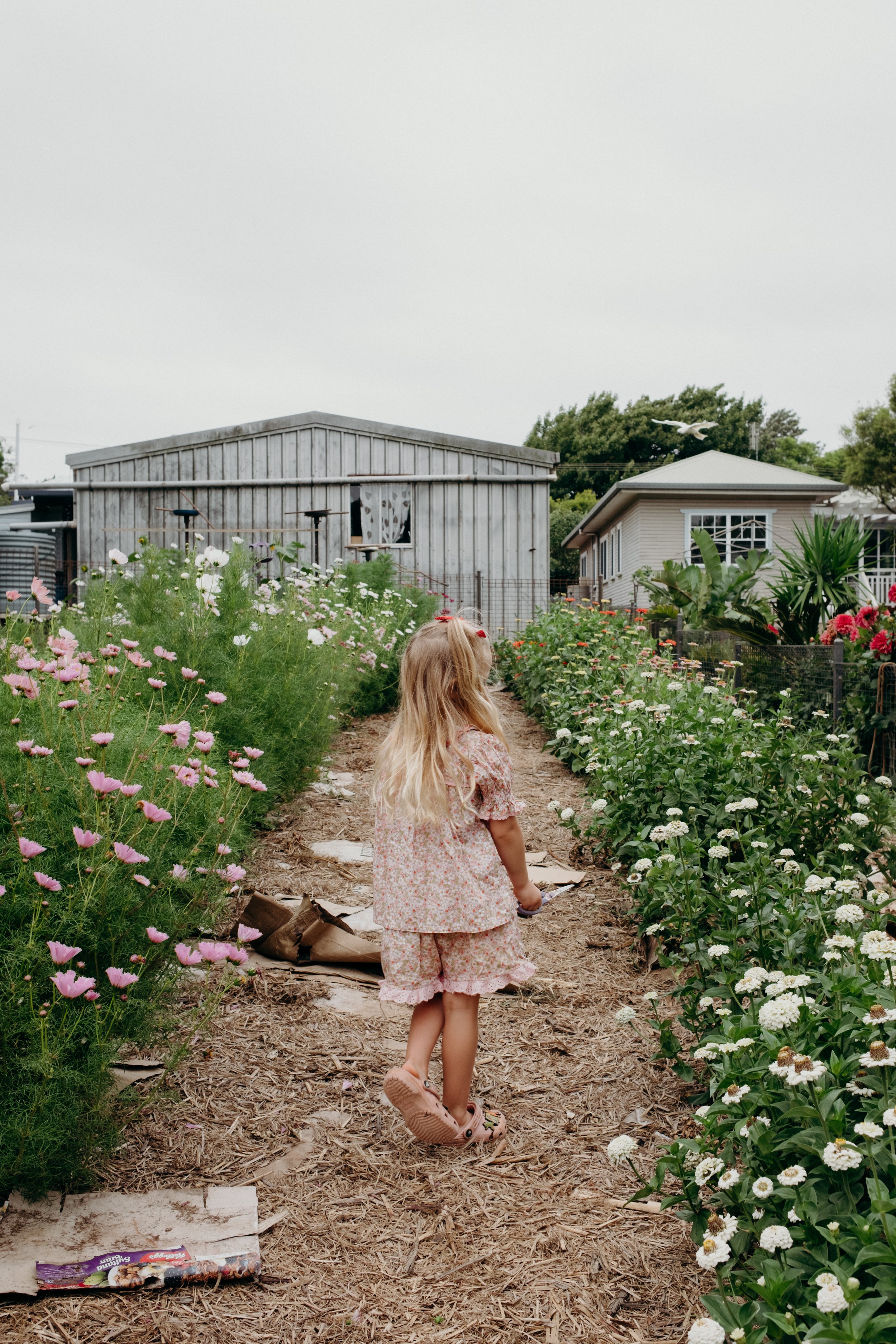 Katie-Jane Hannah - Bluebell Hollow (28 of 70).jpg