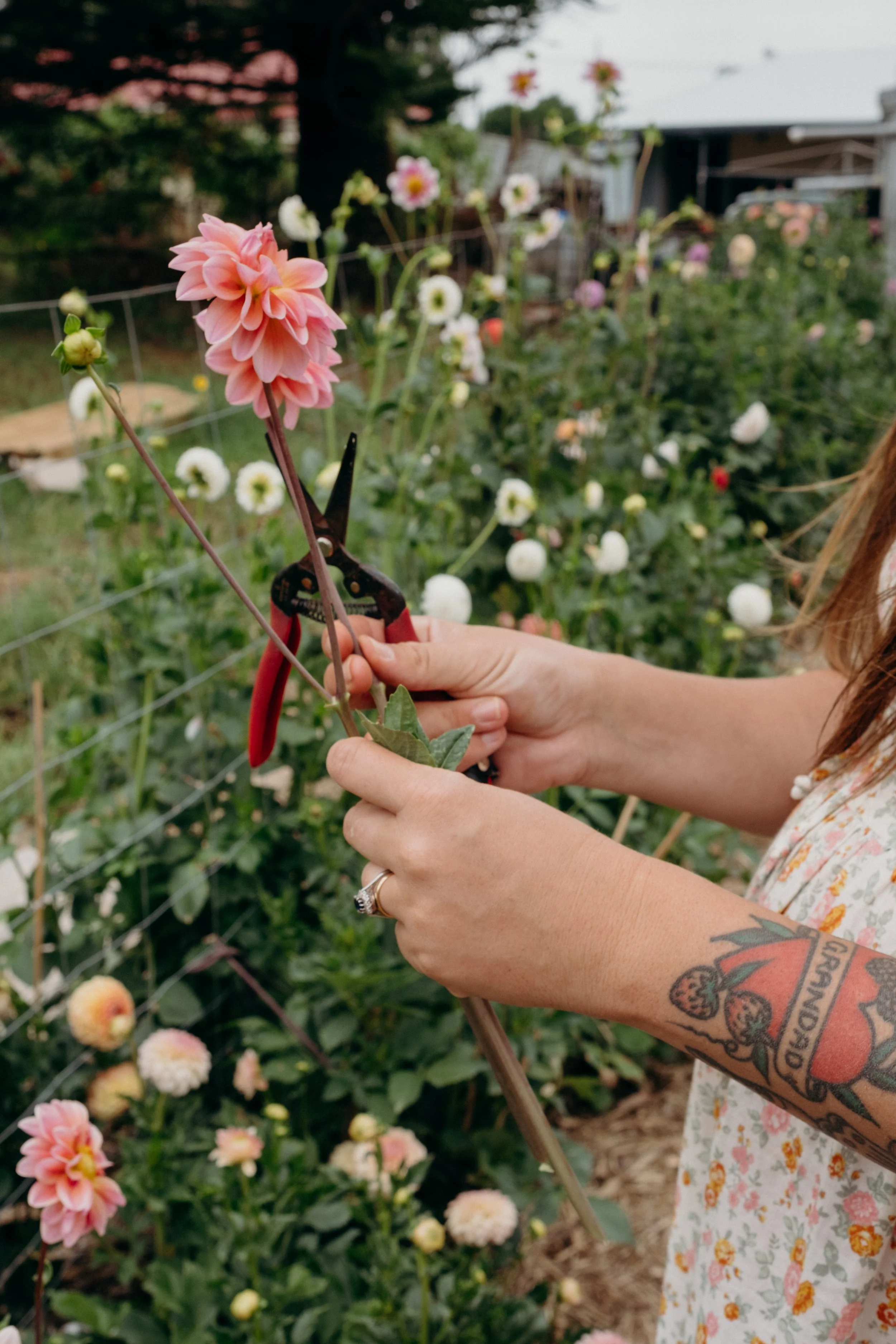 Katie-Jane Hannah - Bluebell Hollow (37 of 70).jpg