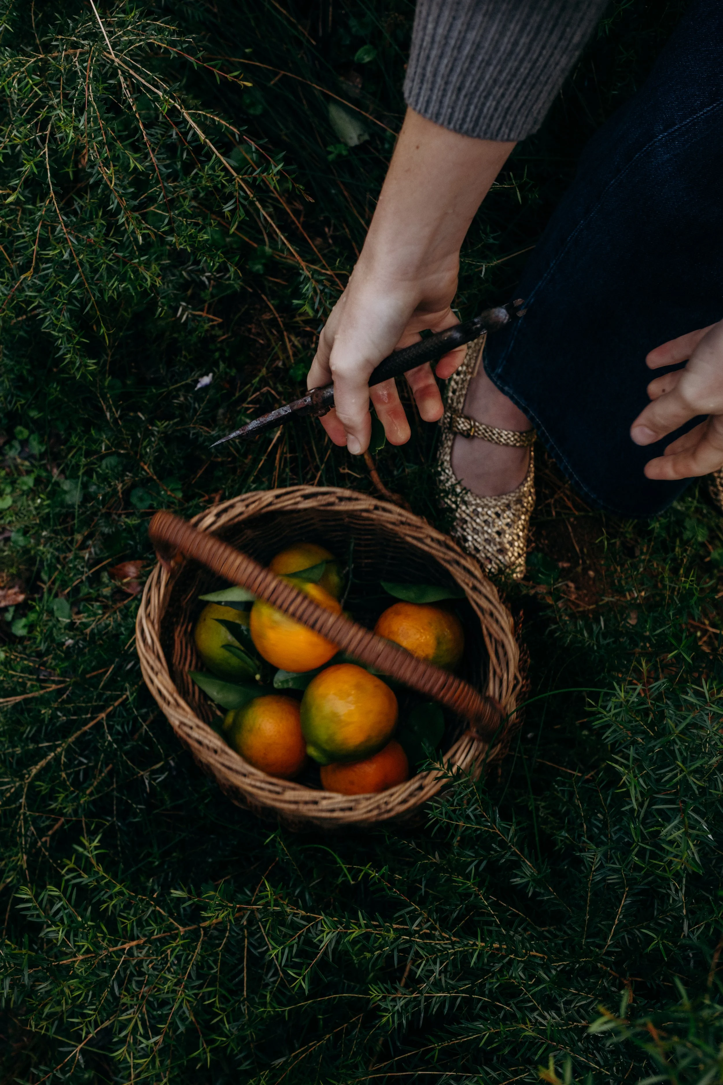 Hannah Puechmarin x MJ (6 of 69).jpg