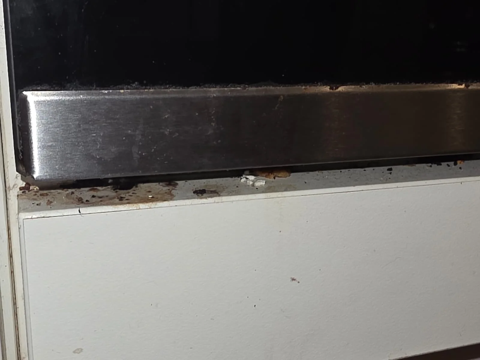 WhatsApp Image 2026-02-11 at 4.07.58 PM.jpeg