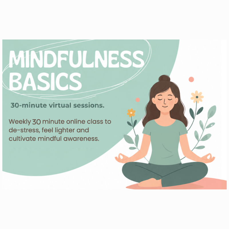Mindfulness Basics Online Class