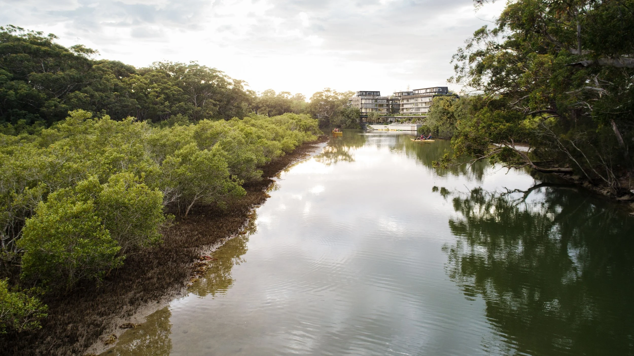 creek view.jpeg