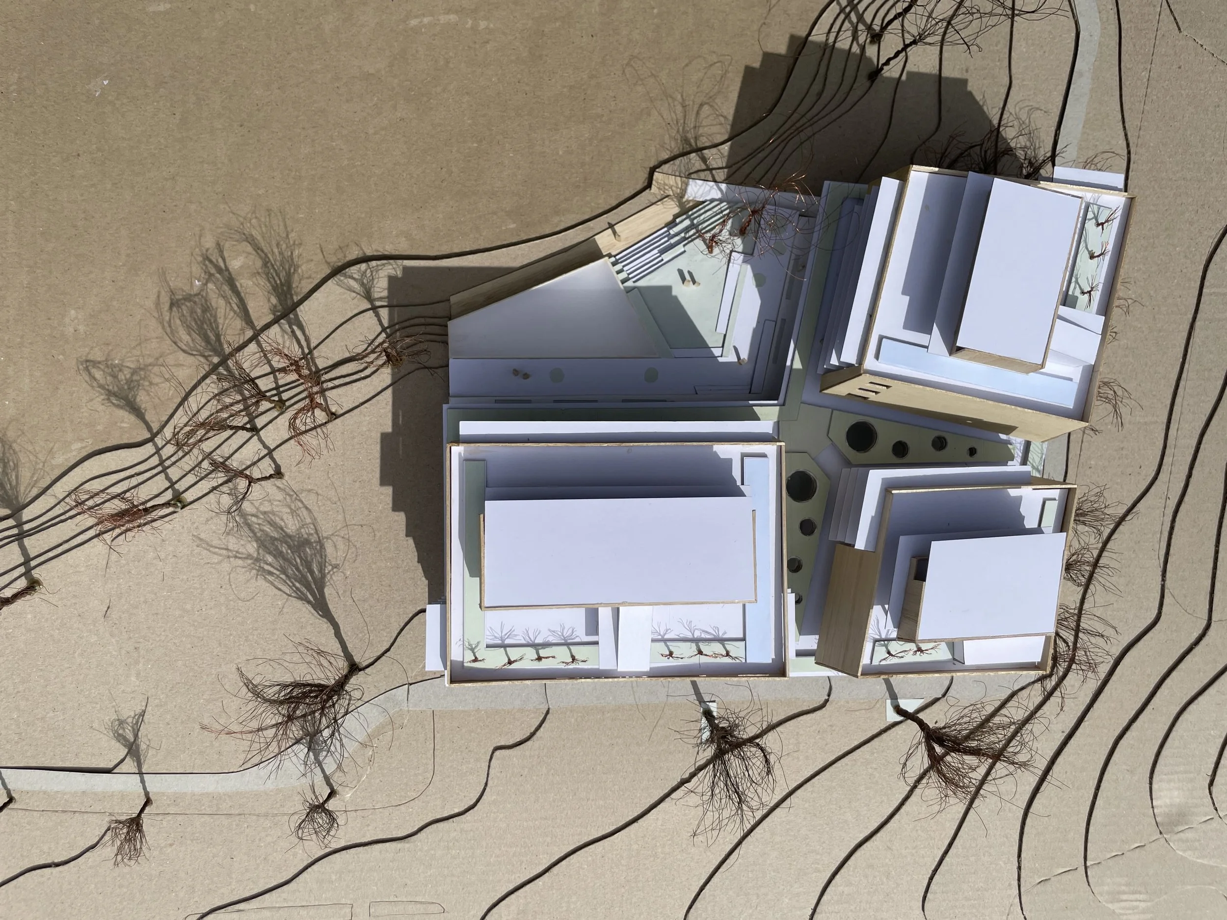 Architectural model of a modern building with multiple levels, surrounded by vegetation on a contour base