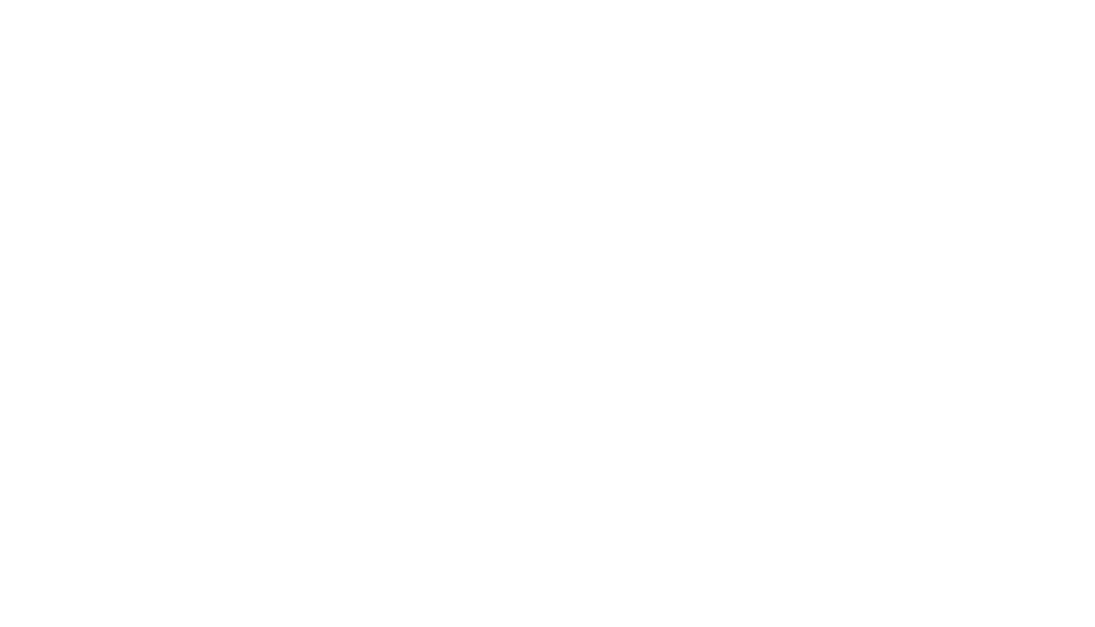 Lone Wolf Consulting Services 