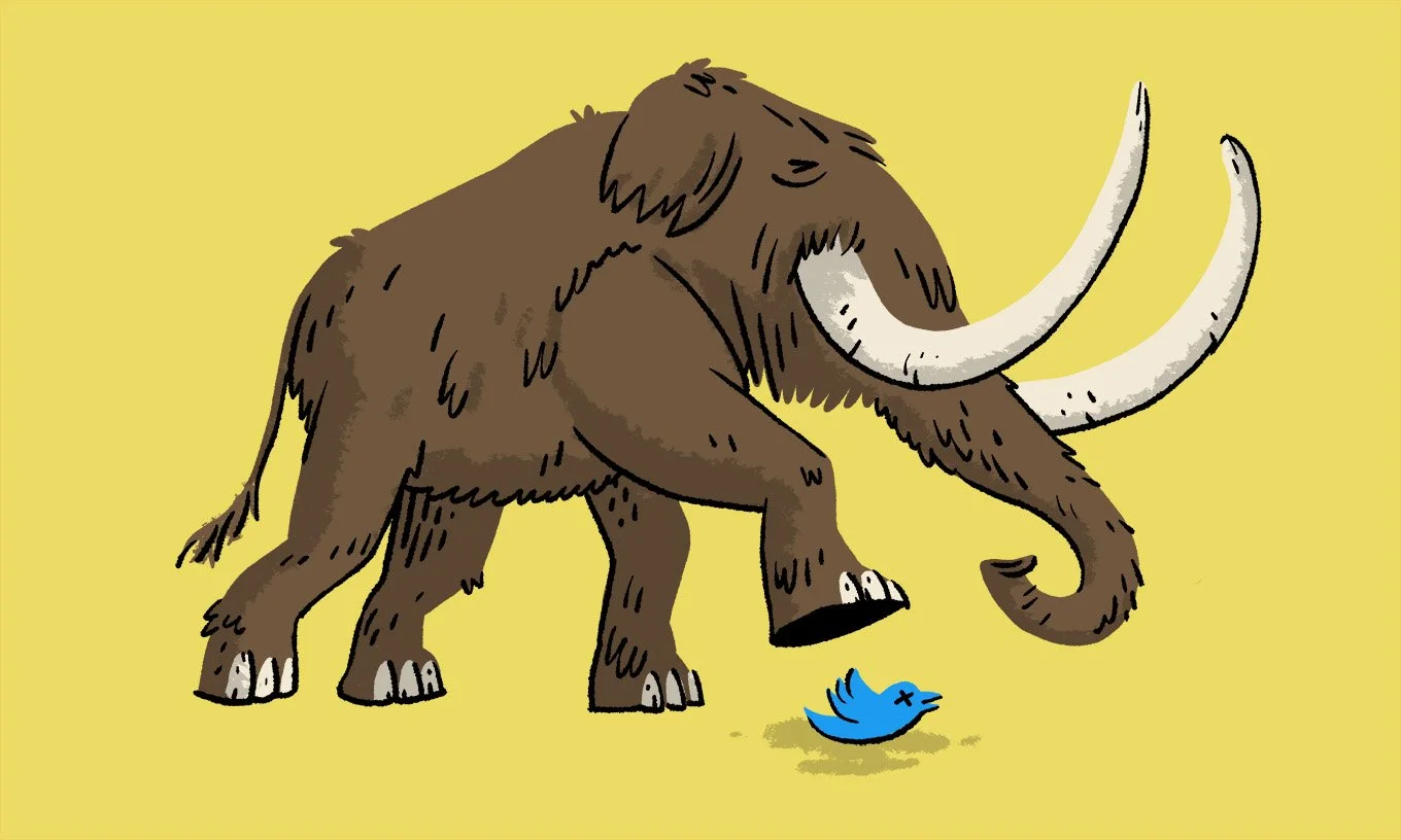 Mastodon vs Twitter.jpg