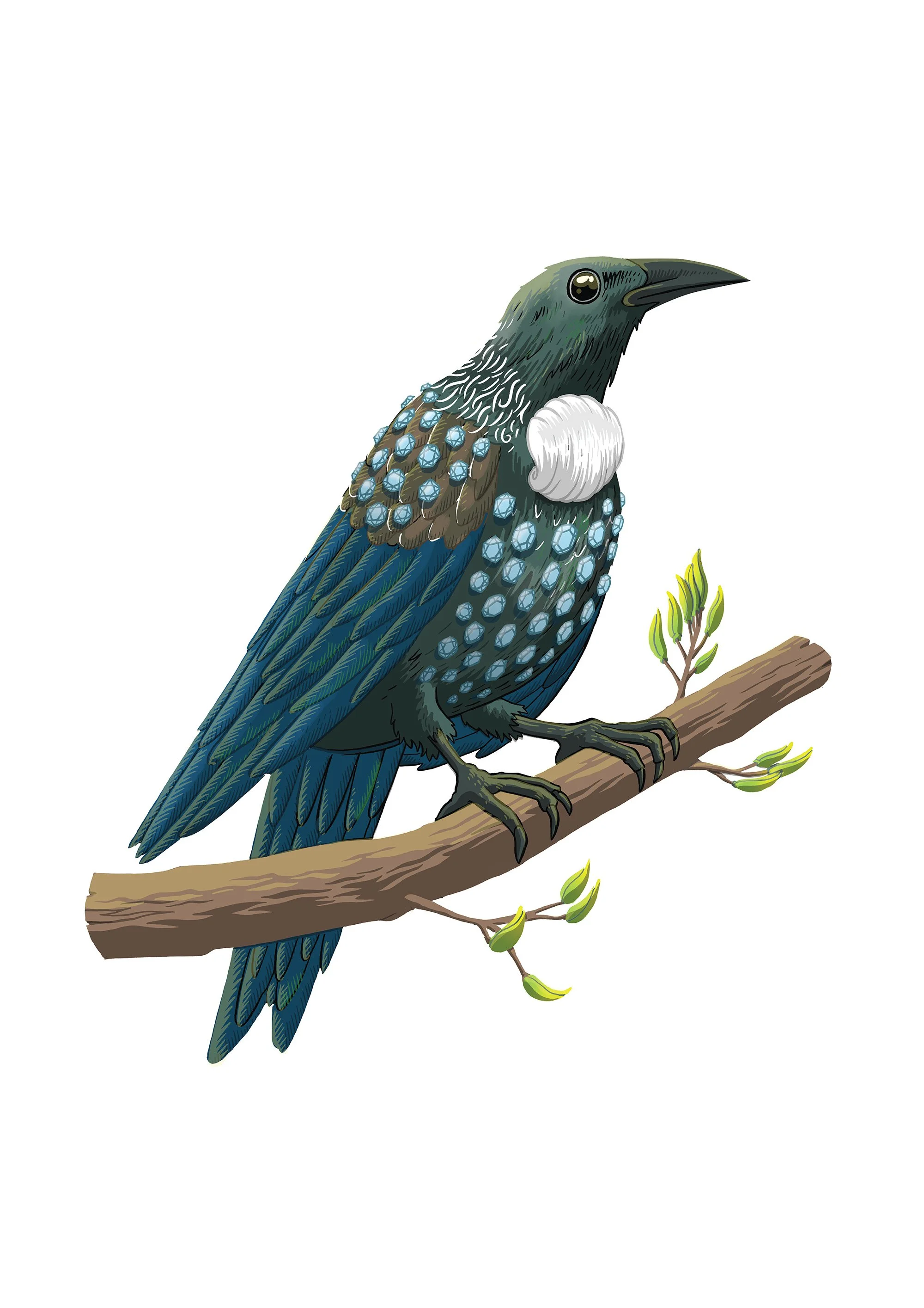 probably forever tui.jpg