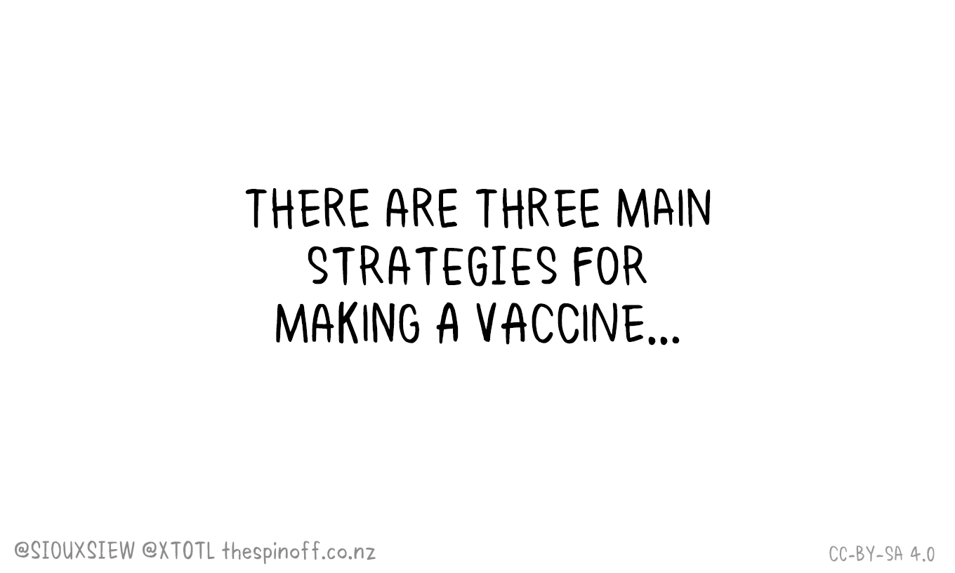 27 Types-of-Vaccines-v3.gif