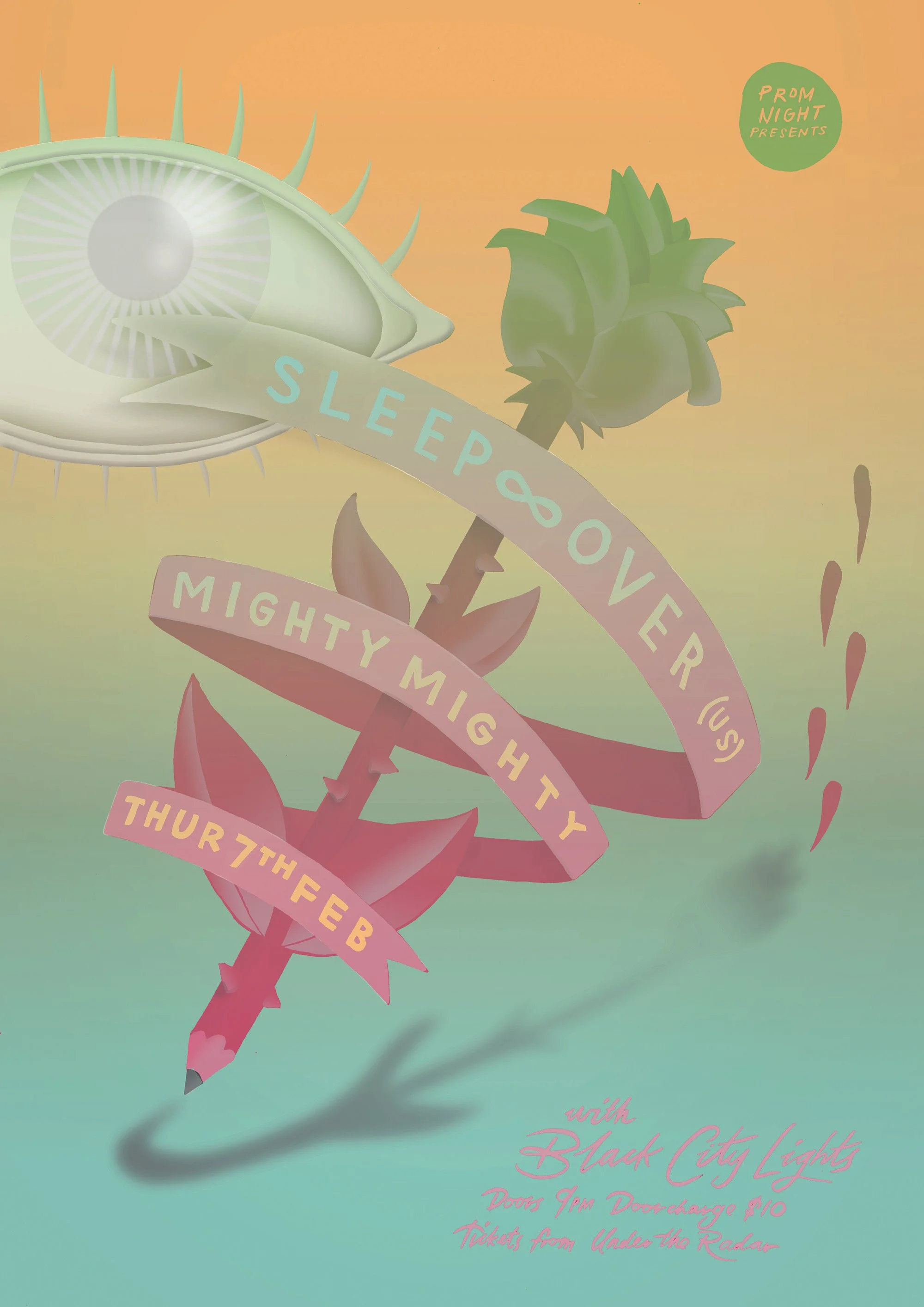 sleep over col HR v2.jpg