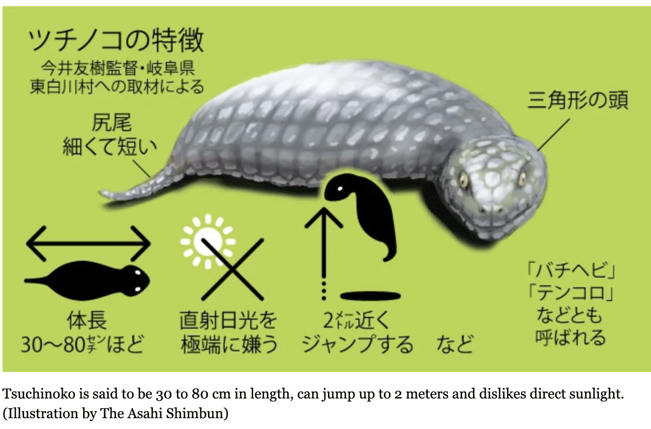Tsuchinoko - Japan’s Hidden Cryptid