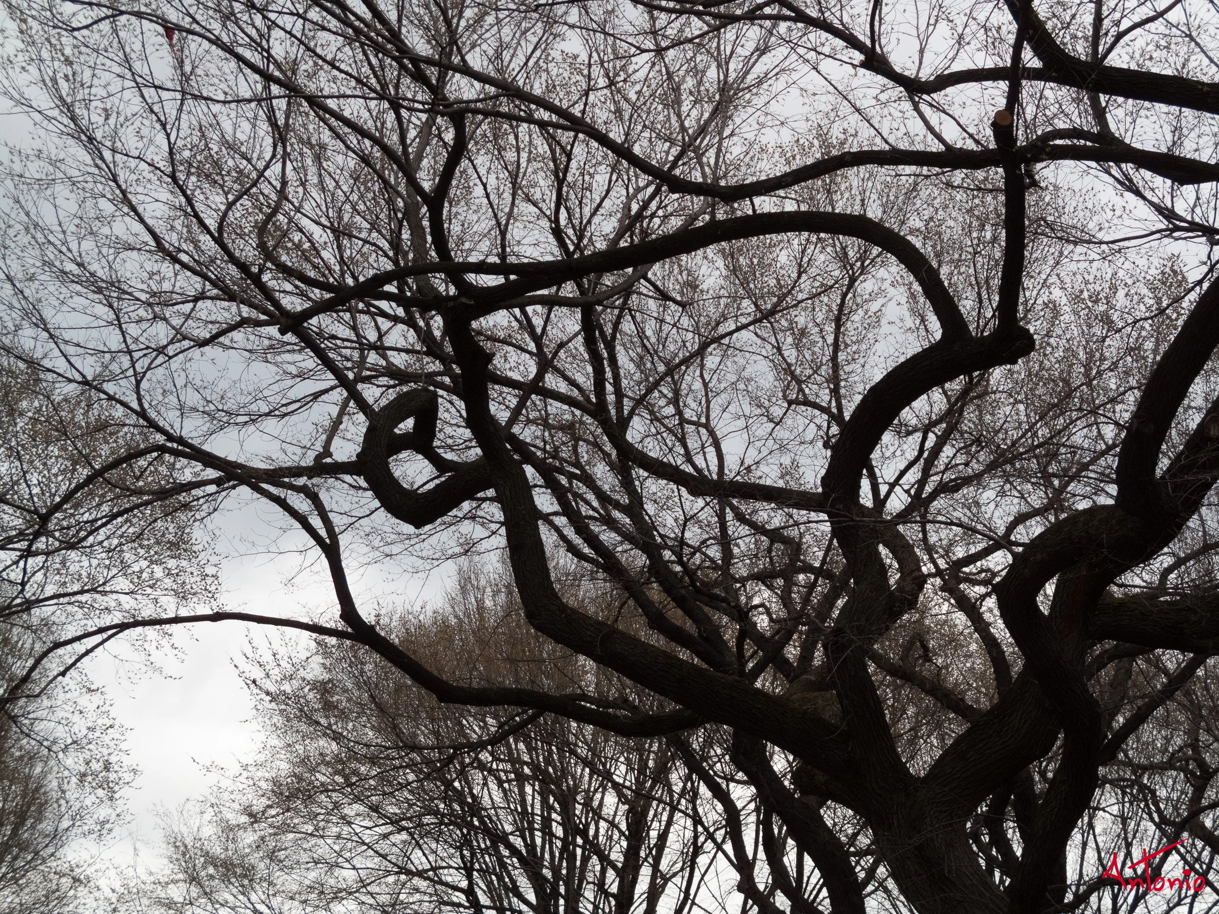 20080404_122004 New York.jpg