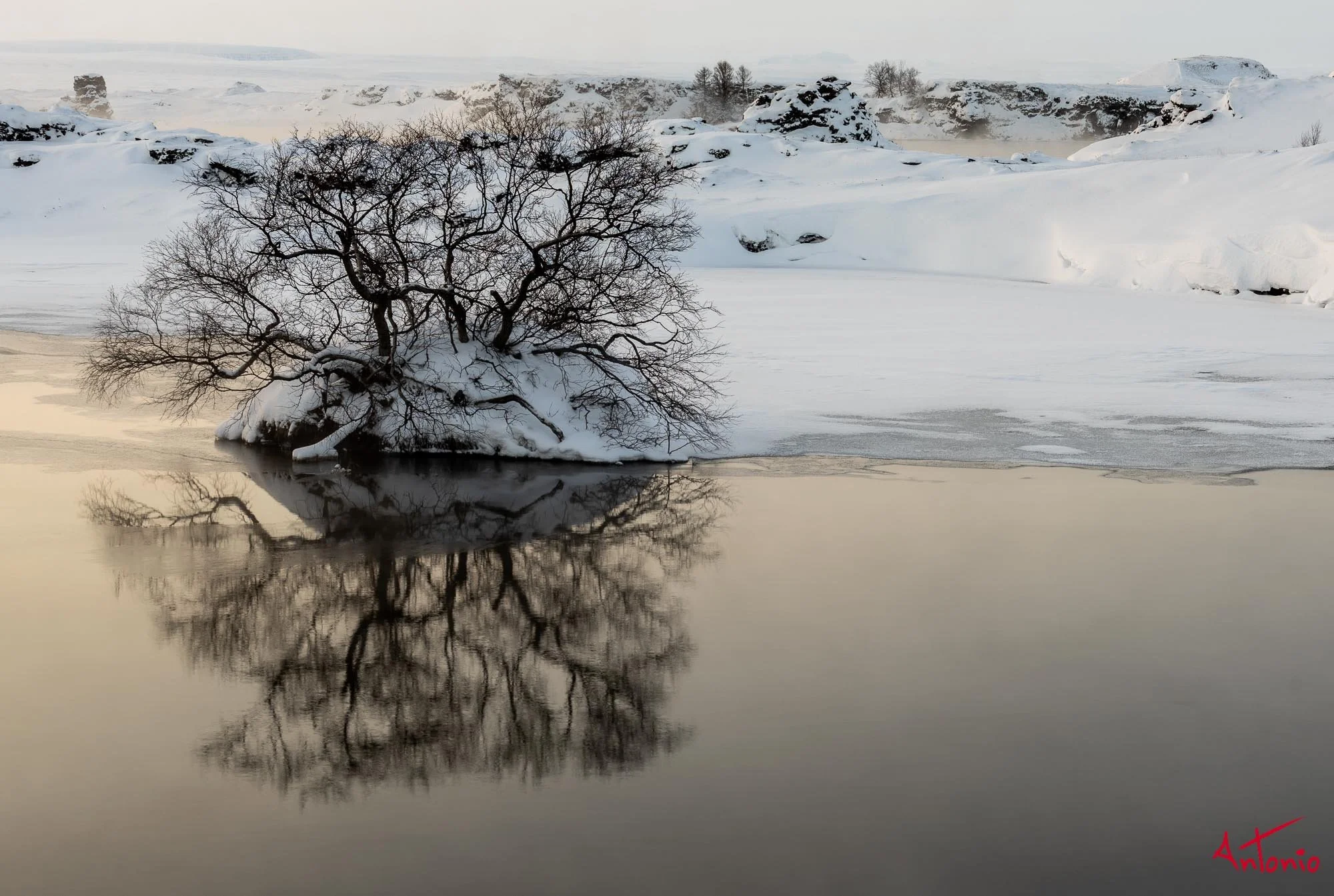 20150118_153439 Islandia.jpg