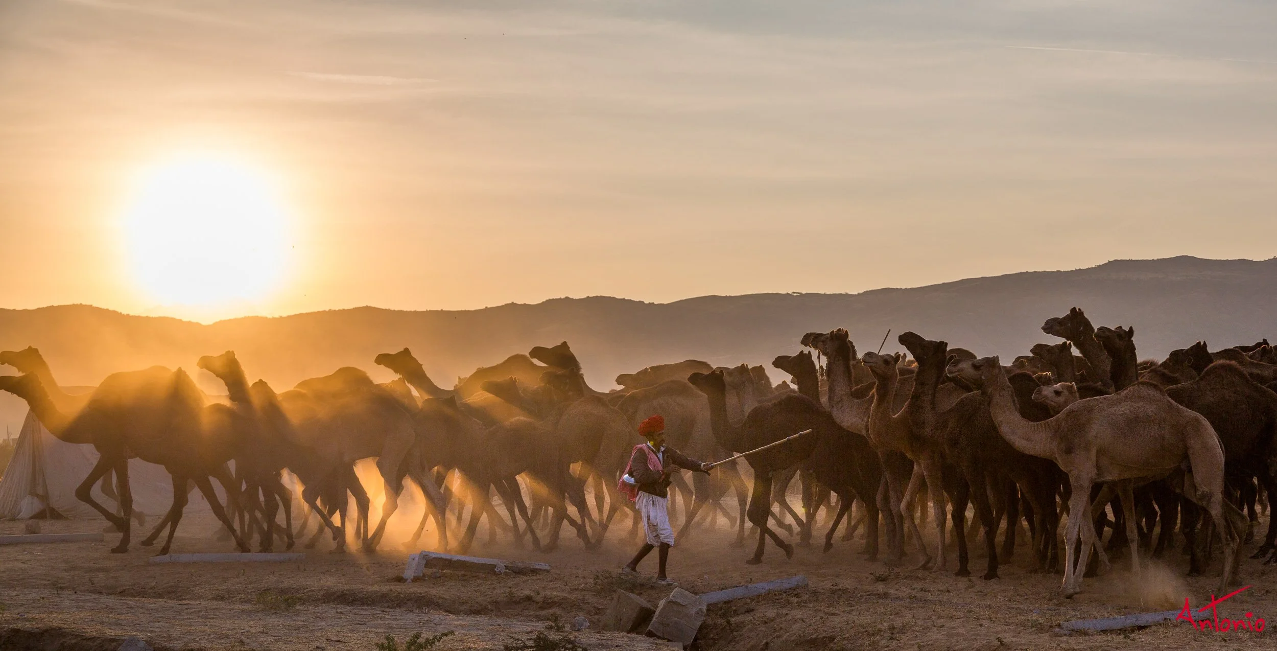 20121124_073753 Pushkar.jpg