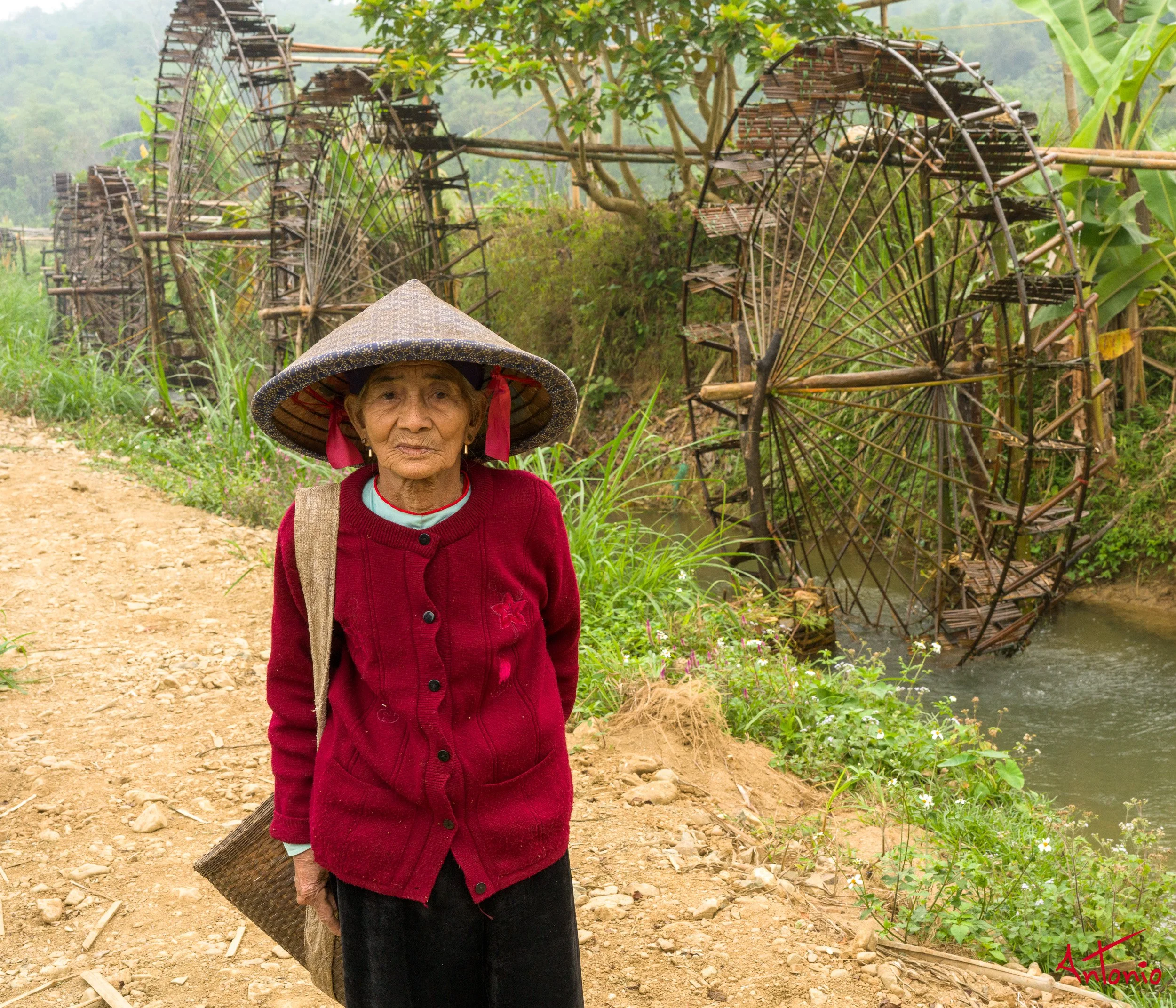 20260204_092812 B0013886 Ban Cong, Vietnam.jpg