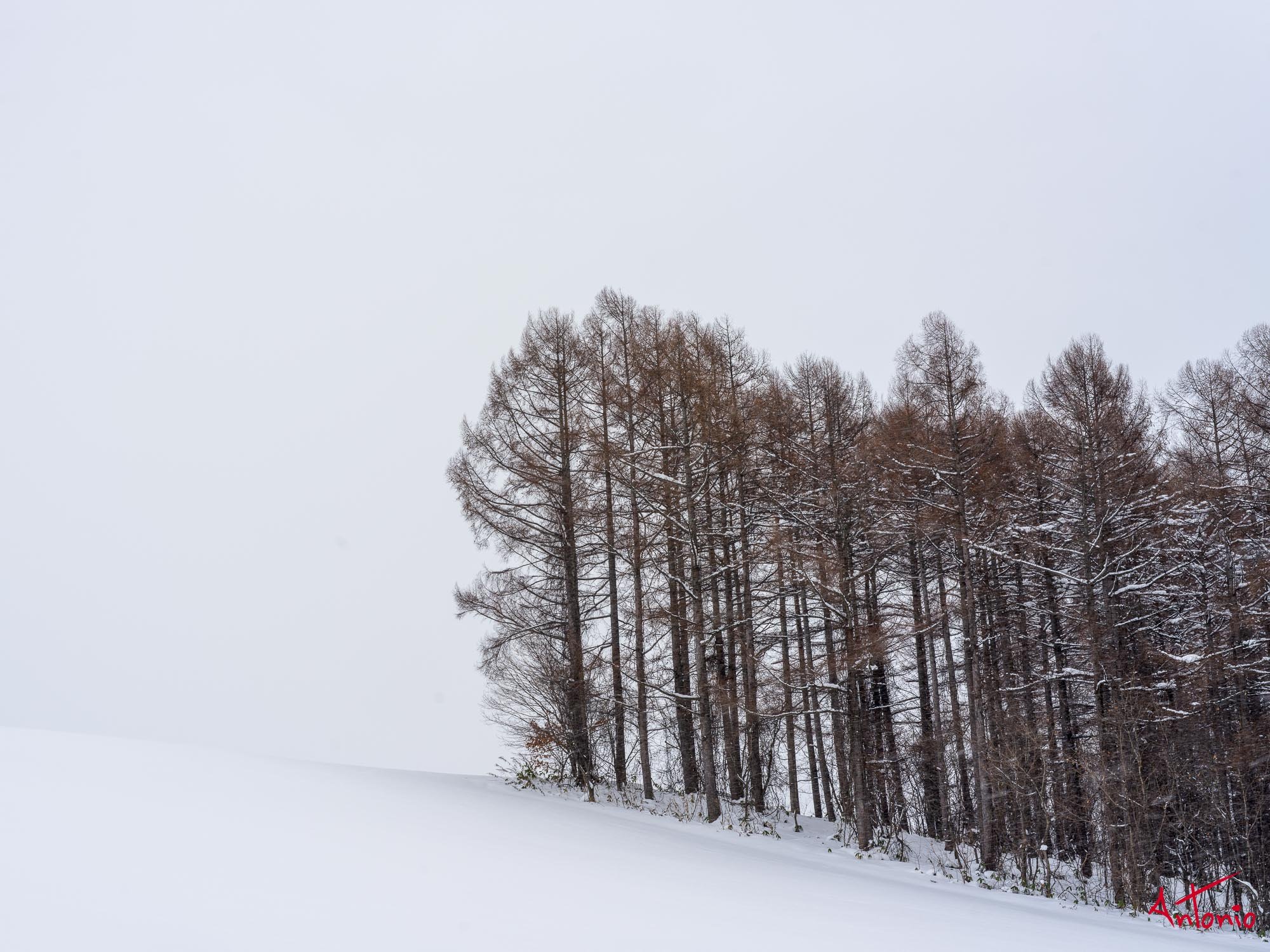 20240109_113450 B0003155 Hokaido.jpg