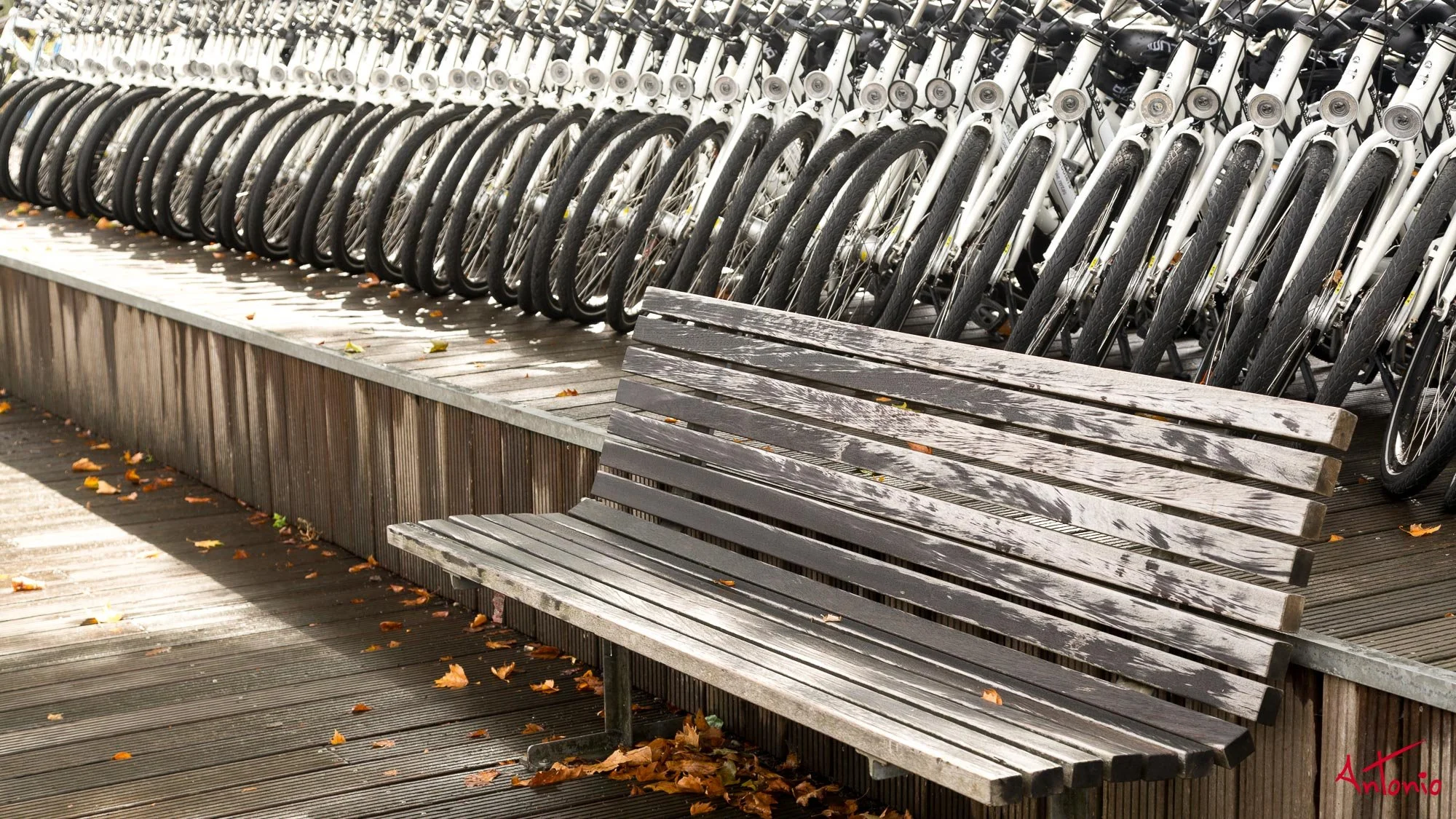 20130910_131921 Amsterdam.jpg