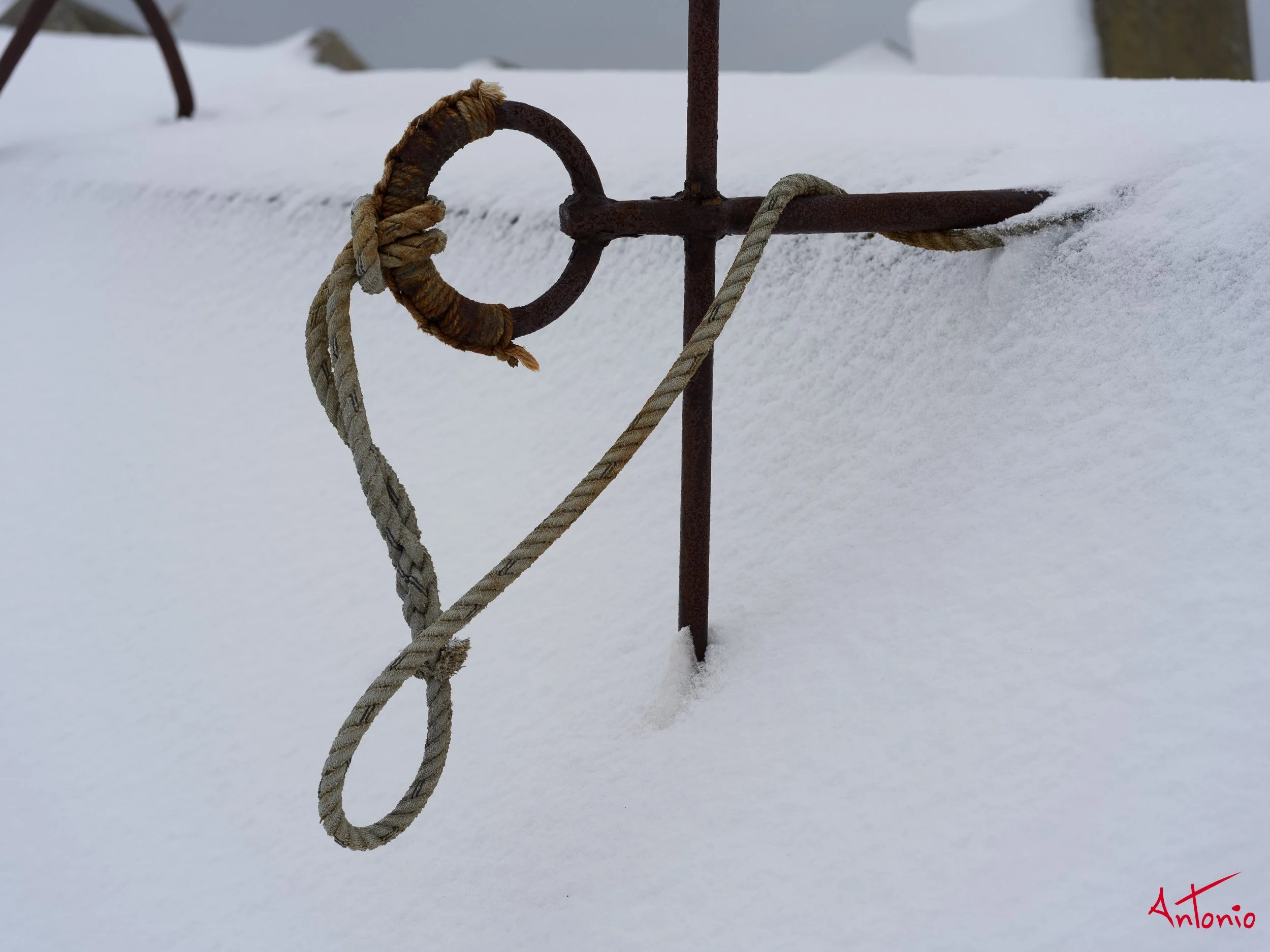 20240111_194542 B0003677 Hokaido, Japan.jpg