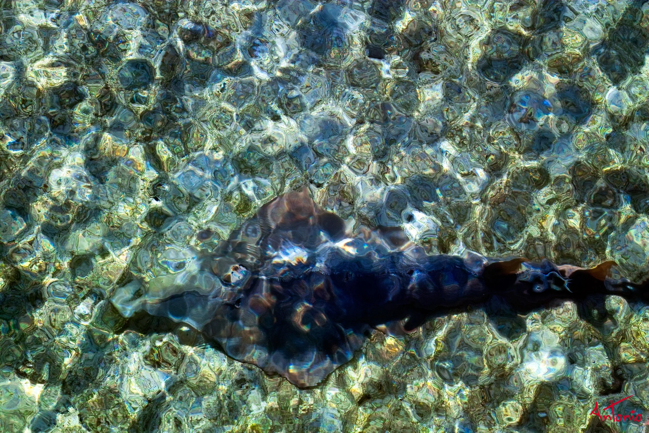 20031127_170754 Cairns.jpg