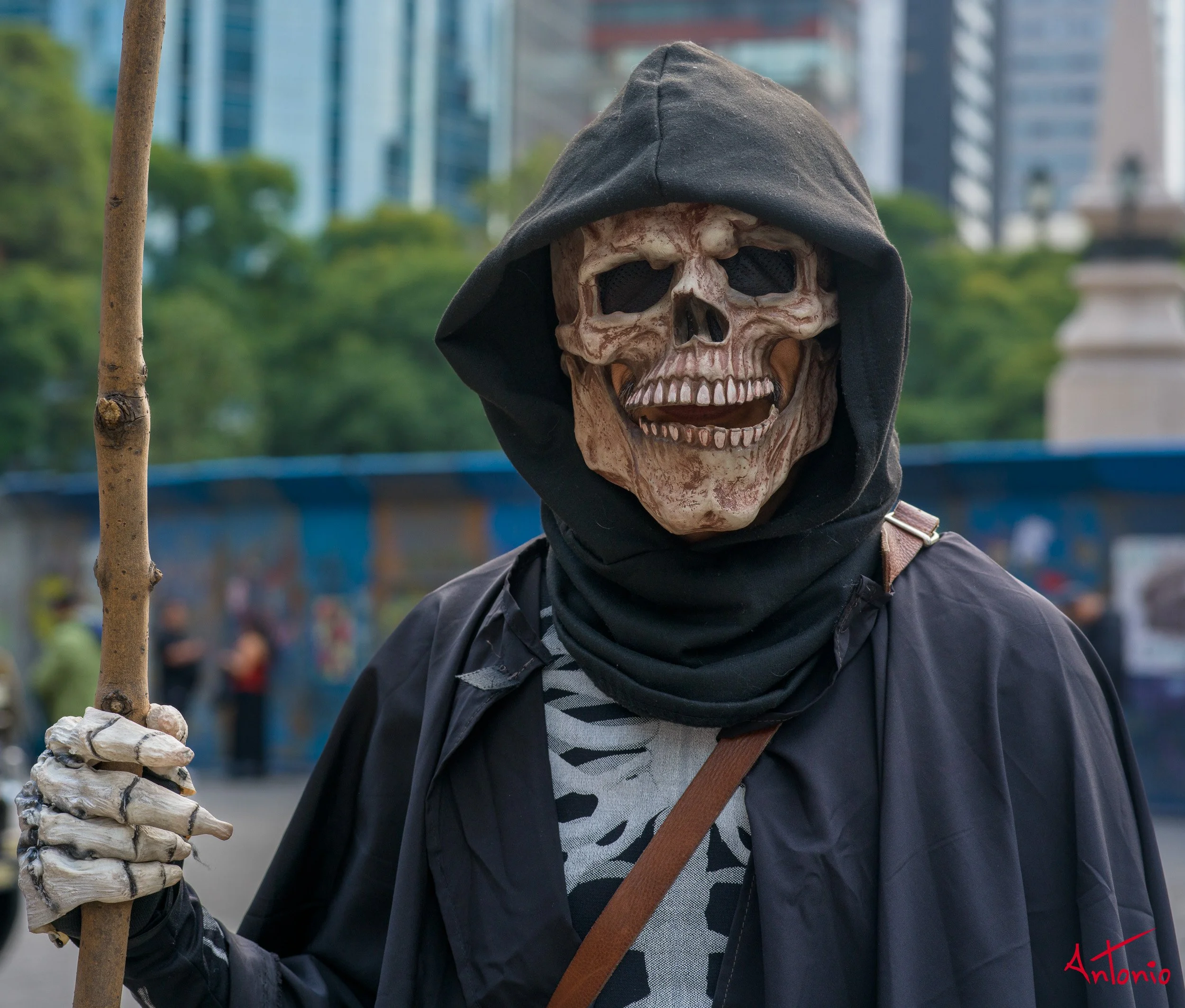 20241027_161020 B0006751 Catrinas.jpg