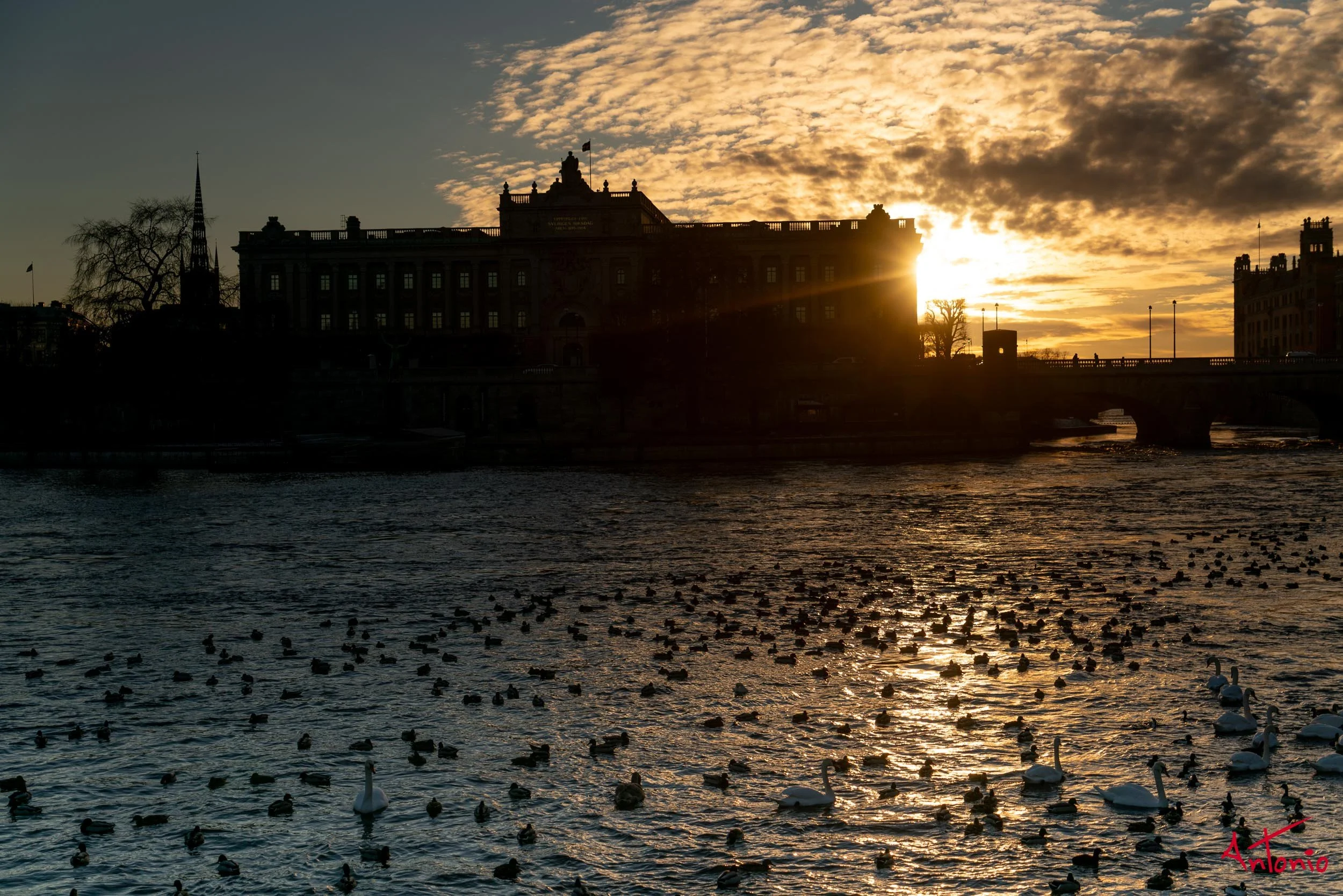 20160224_152138 Estocolmo.jpg