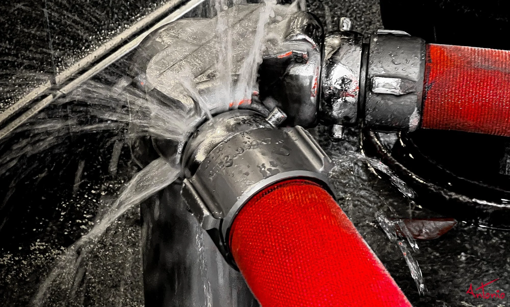 20211223_133334 Chicago.jpg