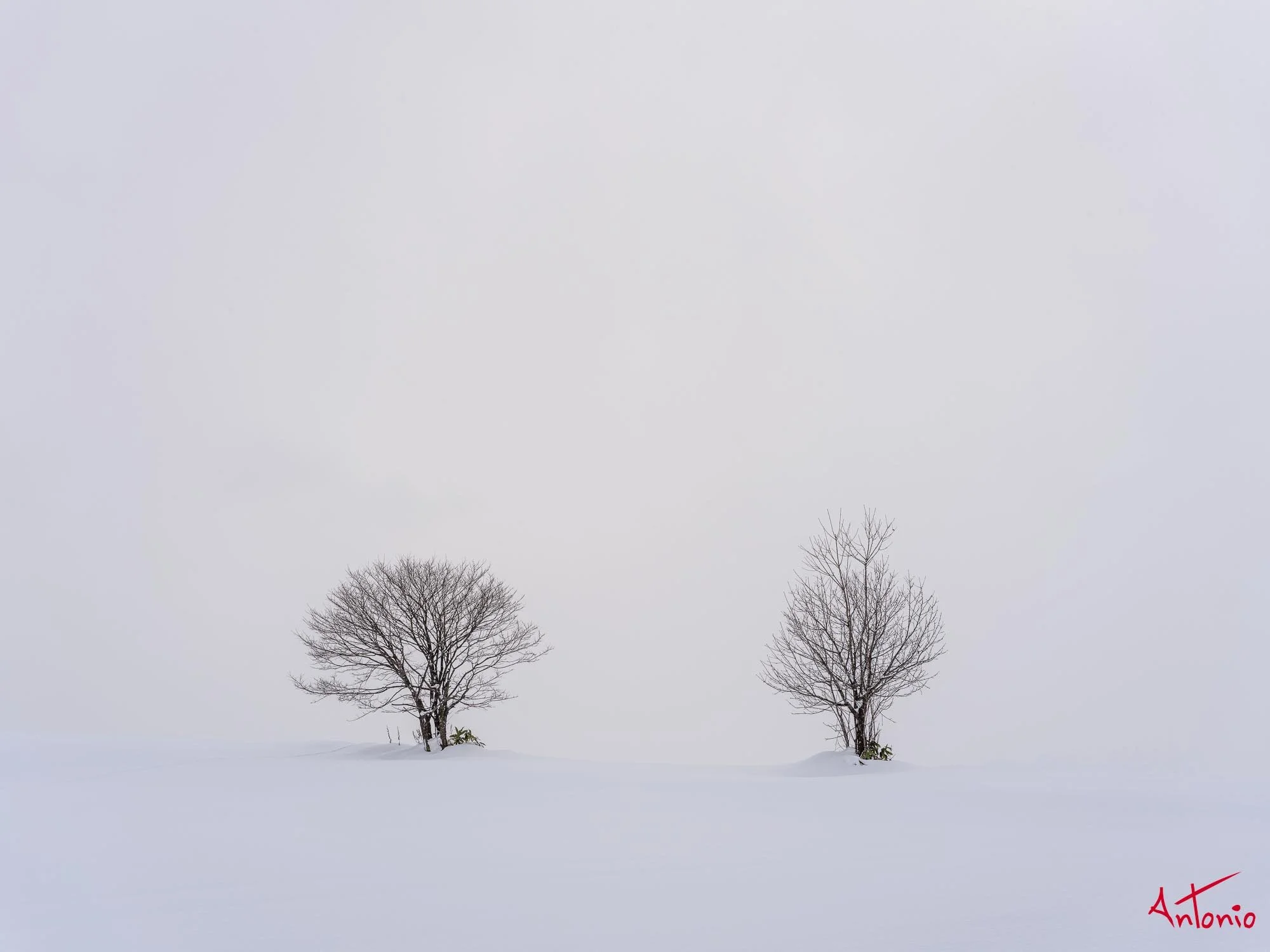 20240108_135233 B0002958 Hokaido.jpg