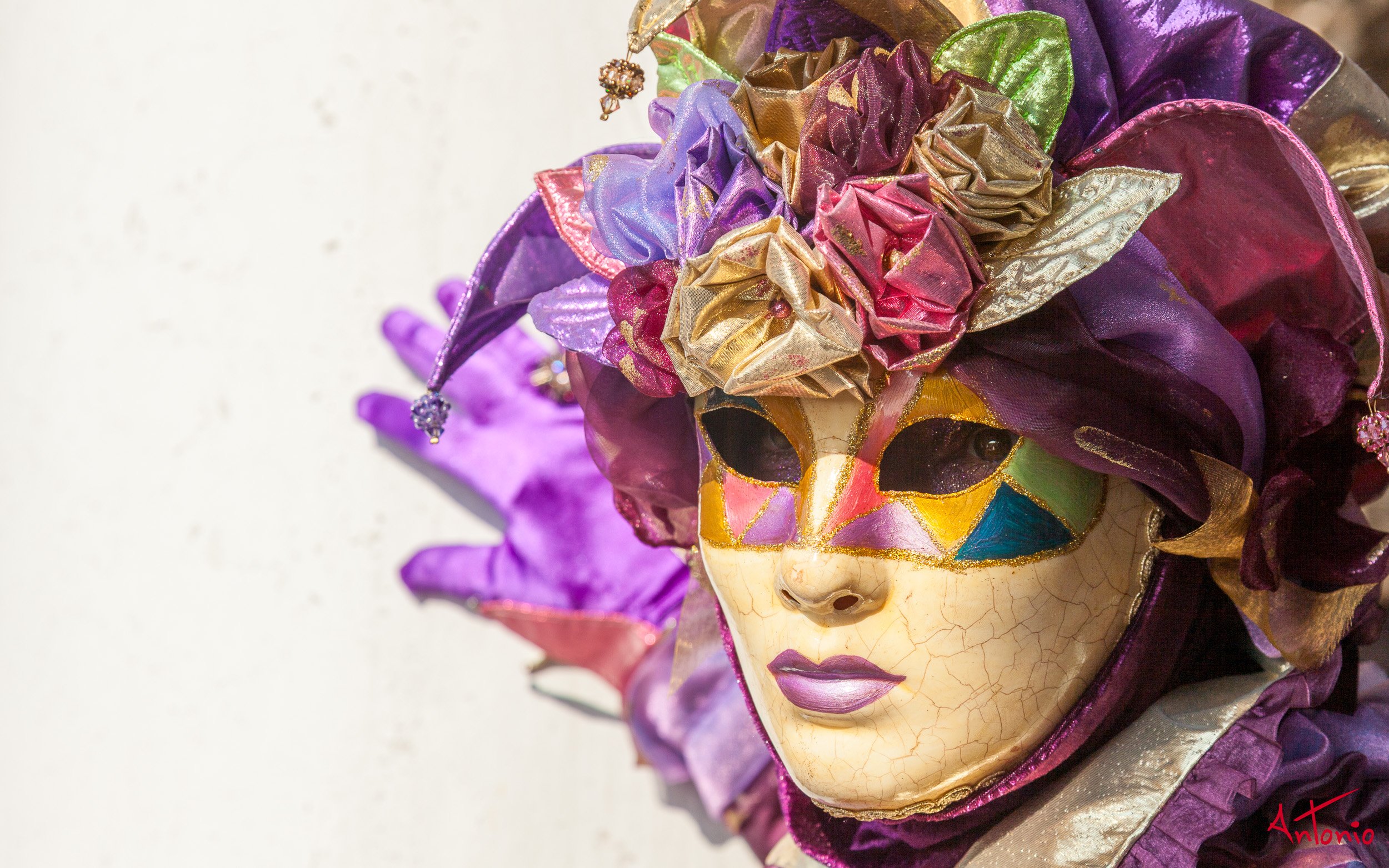 20120218_122702 Carnaval de venecia.jpg