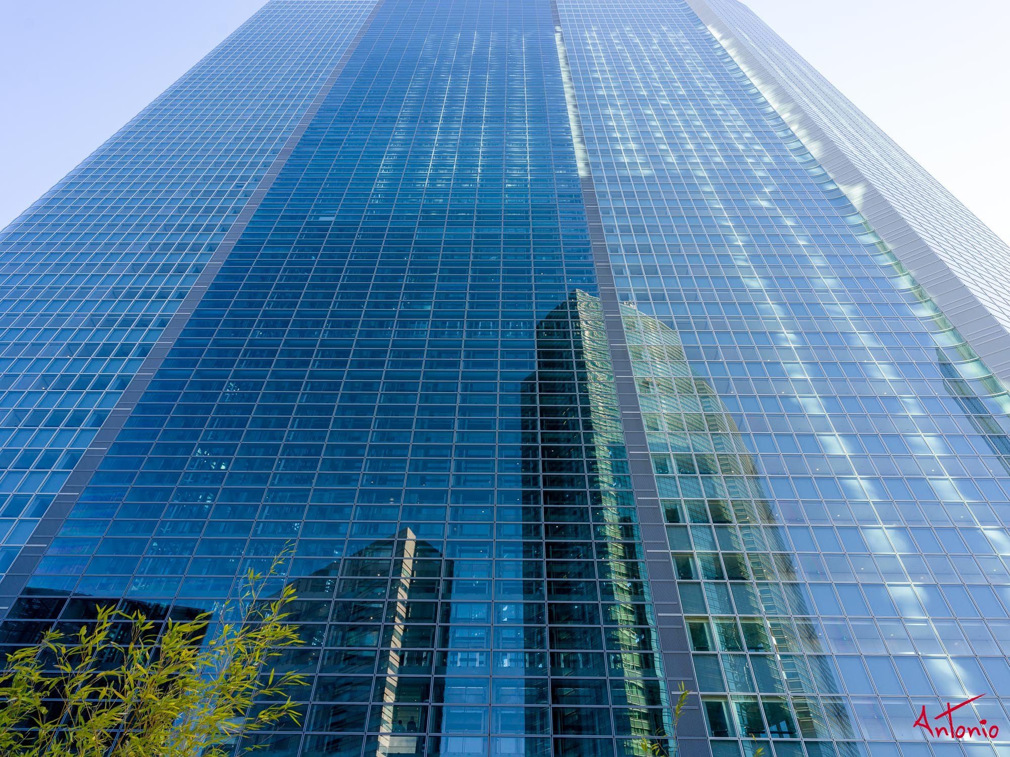 20240123_144920 B0002220 Tokyo.jpg