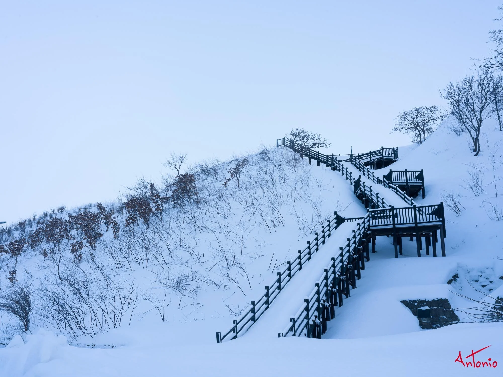 20240111_161247 B0003541 Hokaido.jpg