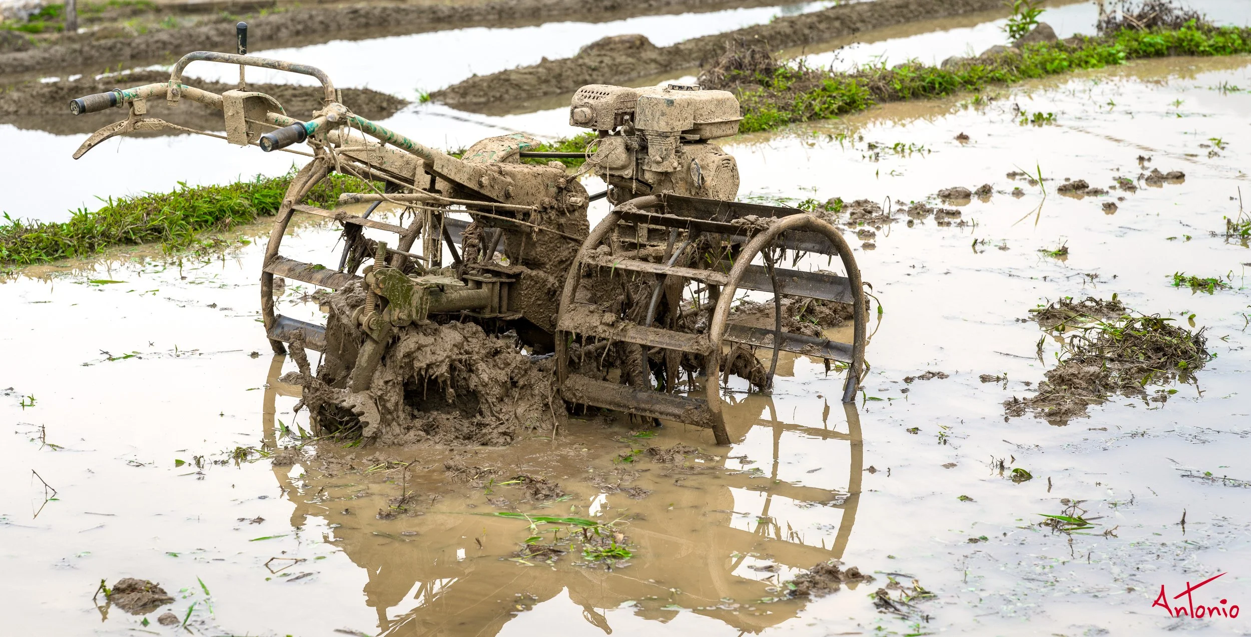 20260202_162411 B0012939 Pu Luong, Vietnam.jpg