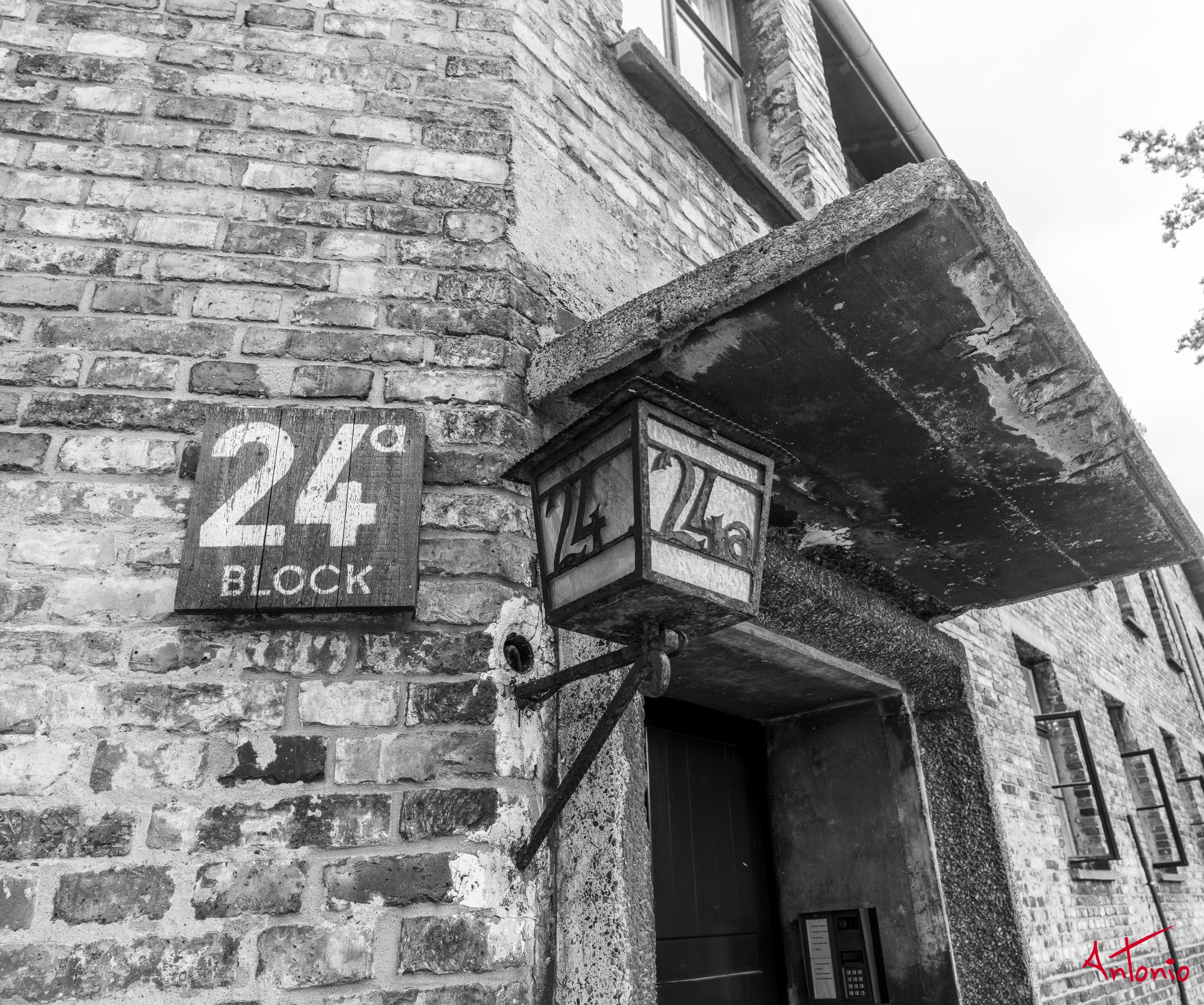 20240820_135126 B0006168 Auschwitz-Brinkenau, Polonia.jpg