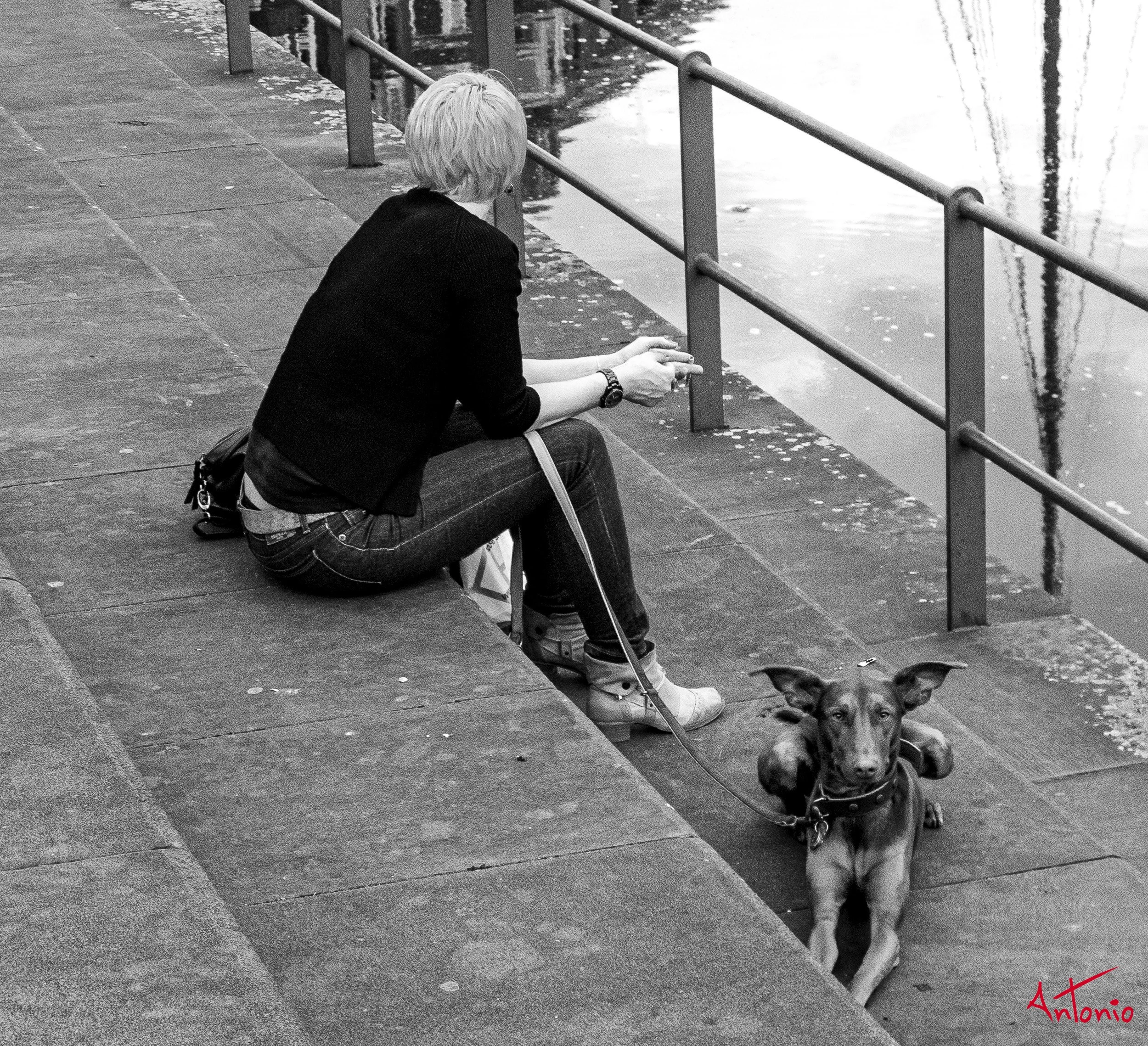 20120510_202835 Dusseldorf.jpg