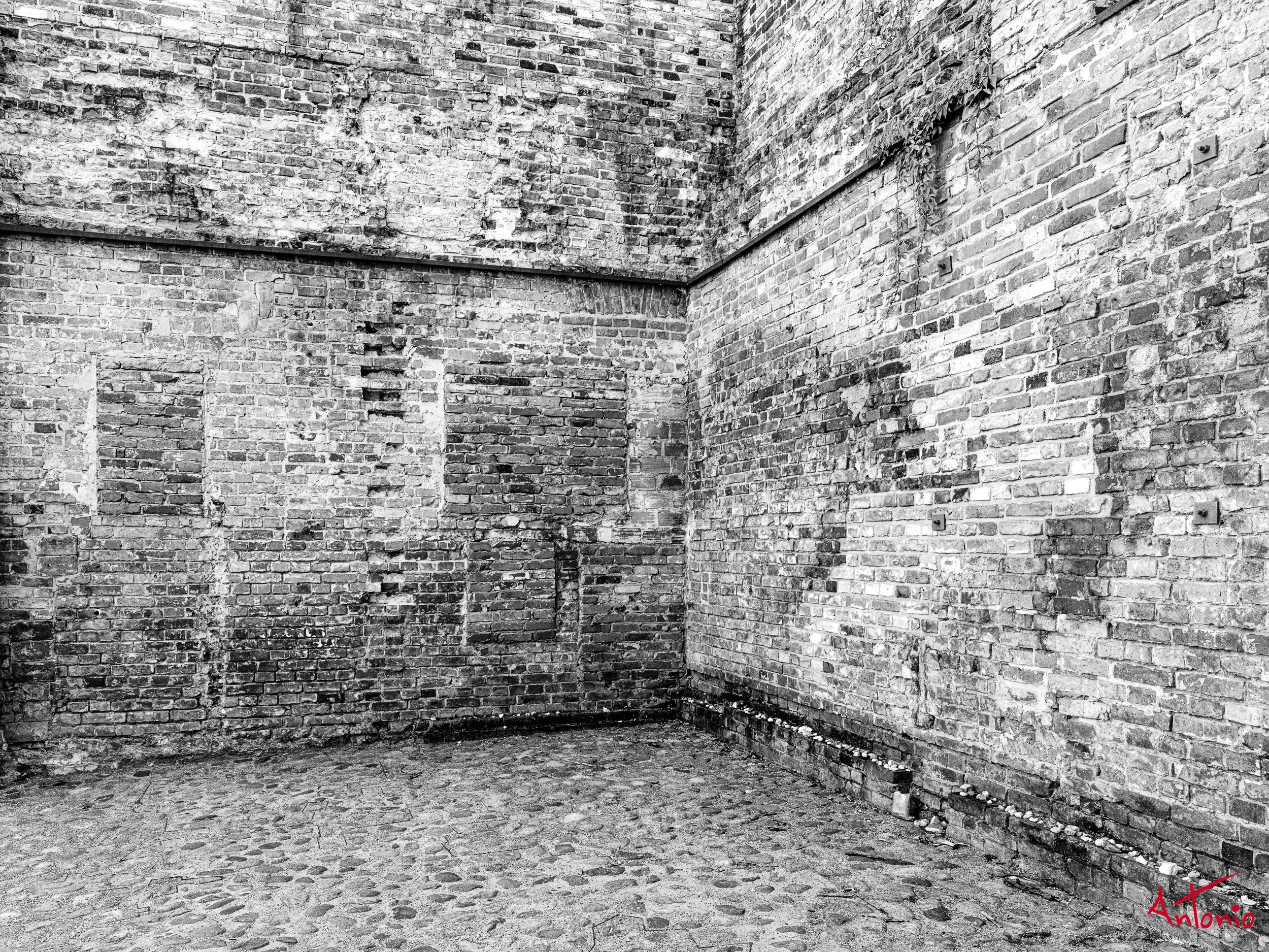 20240816_151750 B0005641 Varsovia, Polonia.jpg