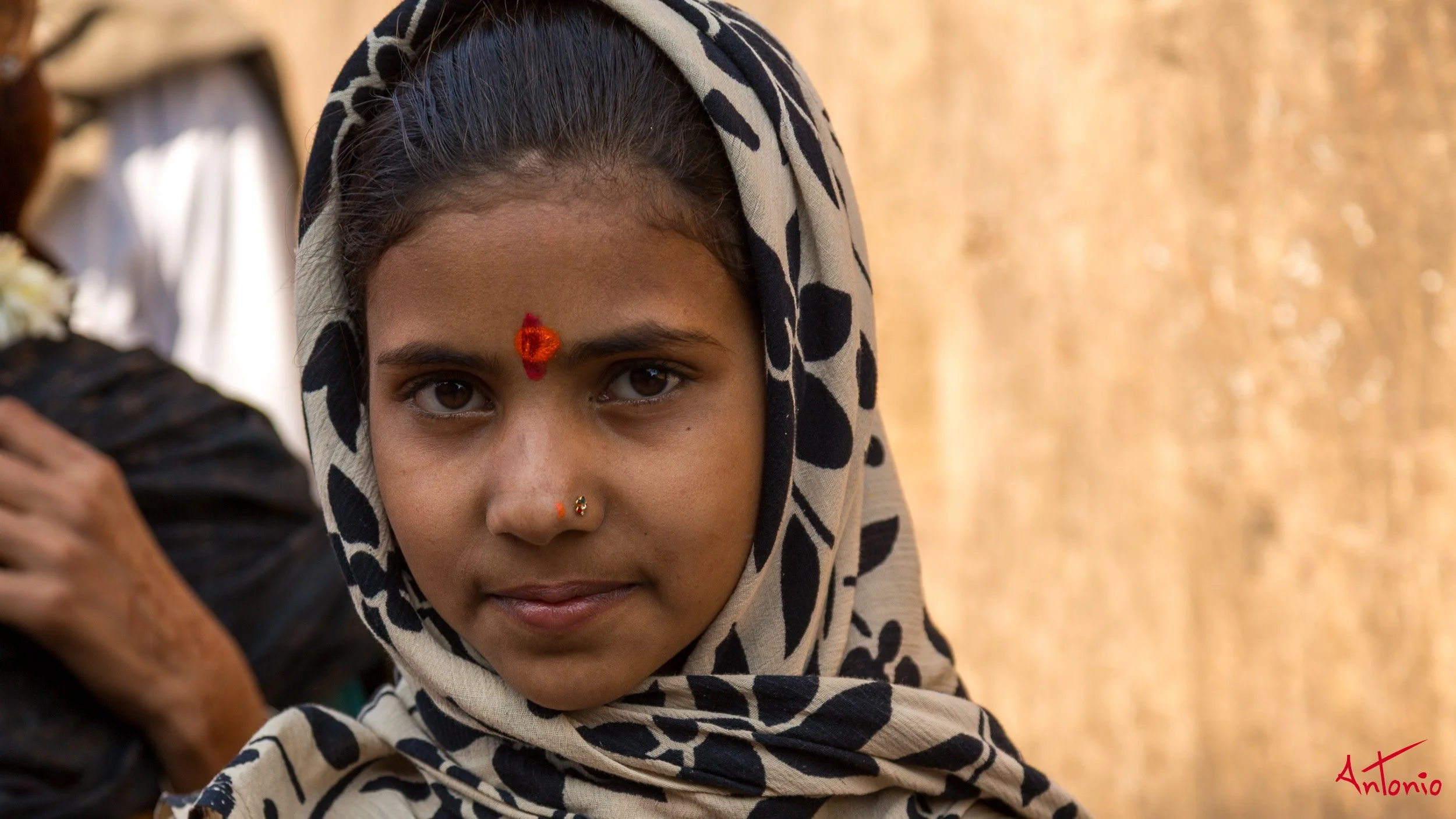 20121128_105831 Ranthambhore.jpg