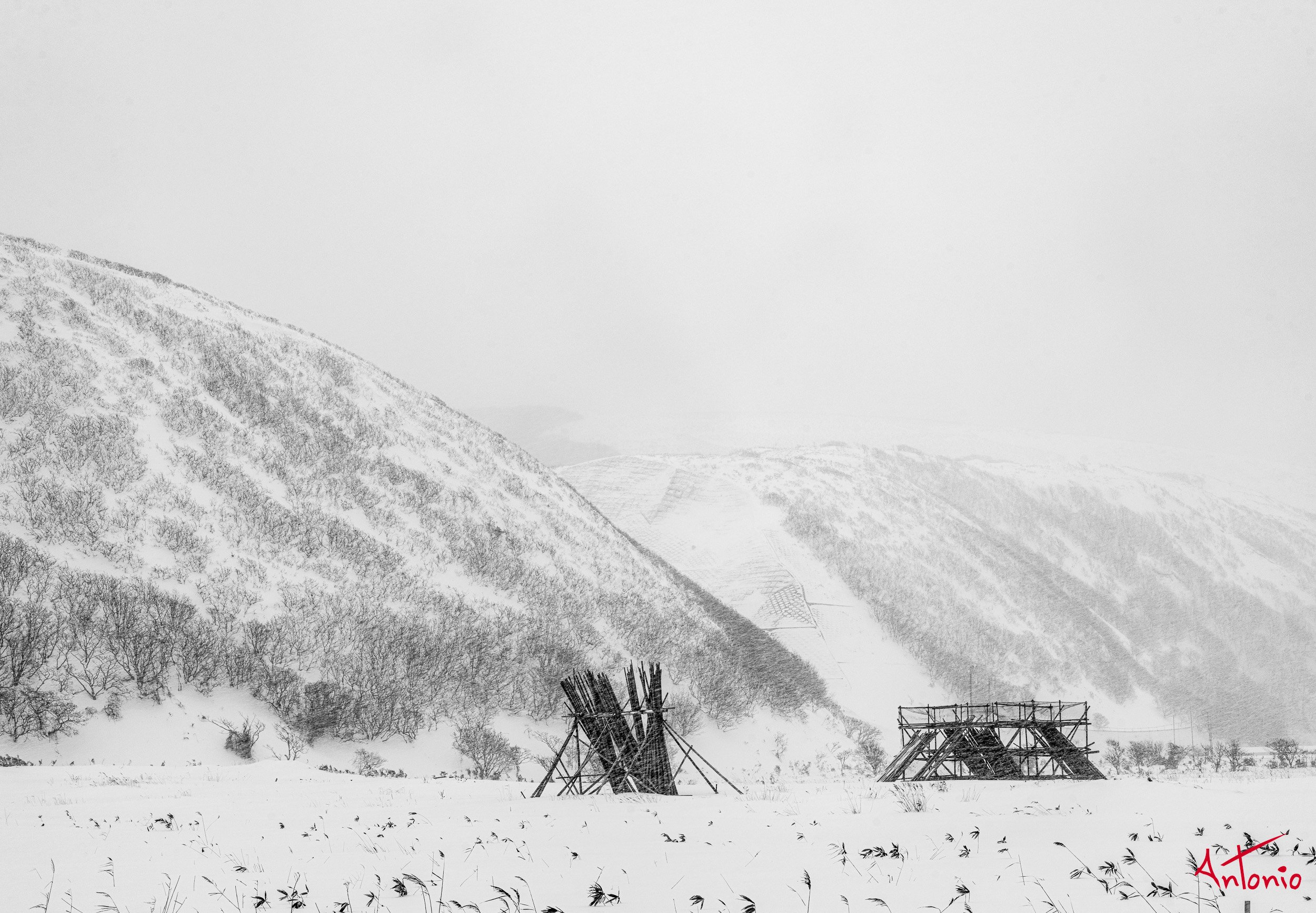 20240114_000024 B0004360 Hokaido, Japan.jpg